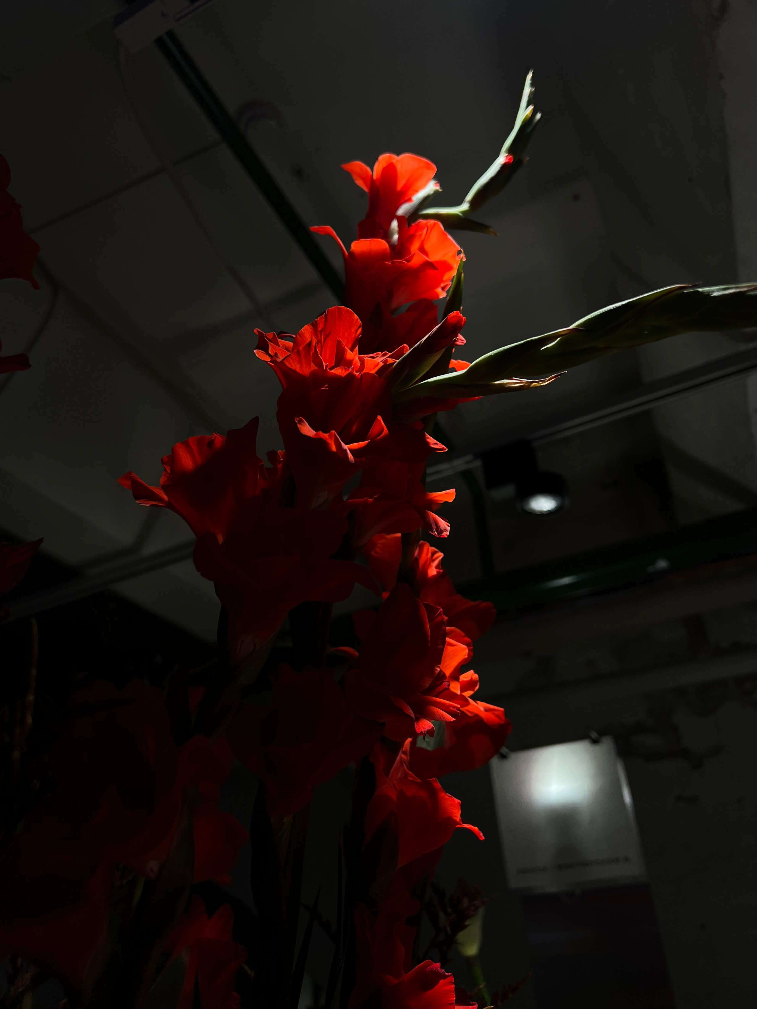 Fragments. Artem Khusainov