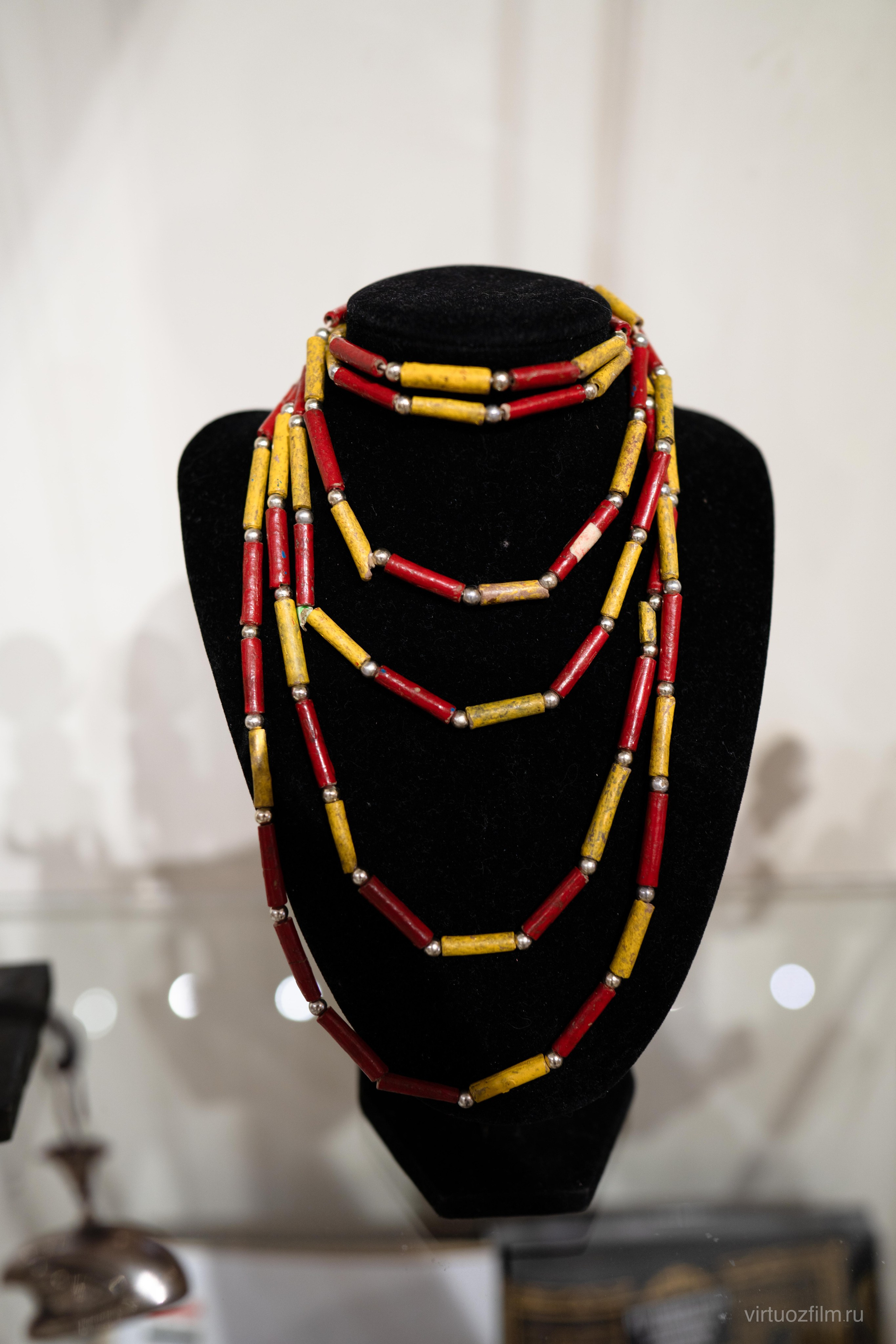 Встреча с писателем и путешественником Андрэ Ролланом