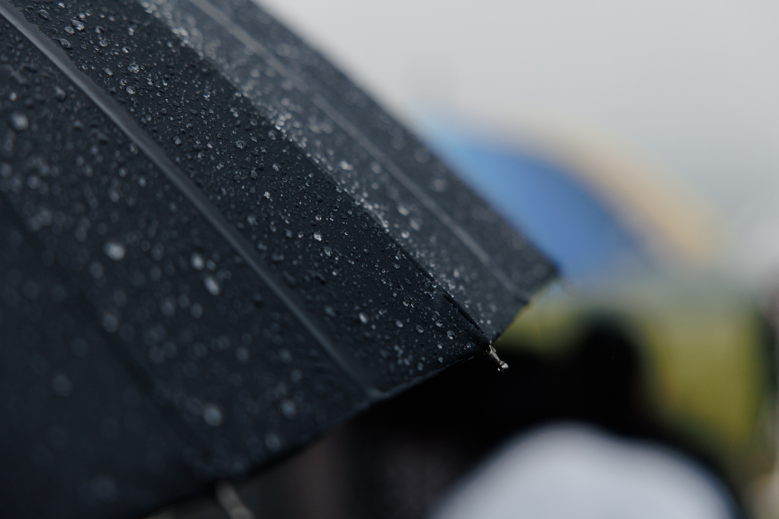 Николай и Екатерина. Свадебный фотограф