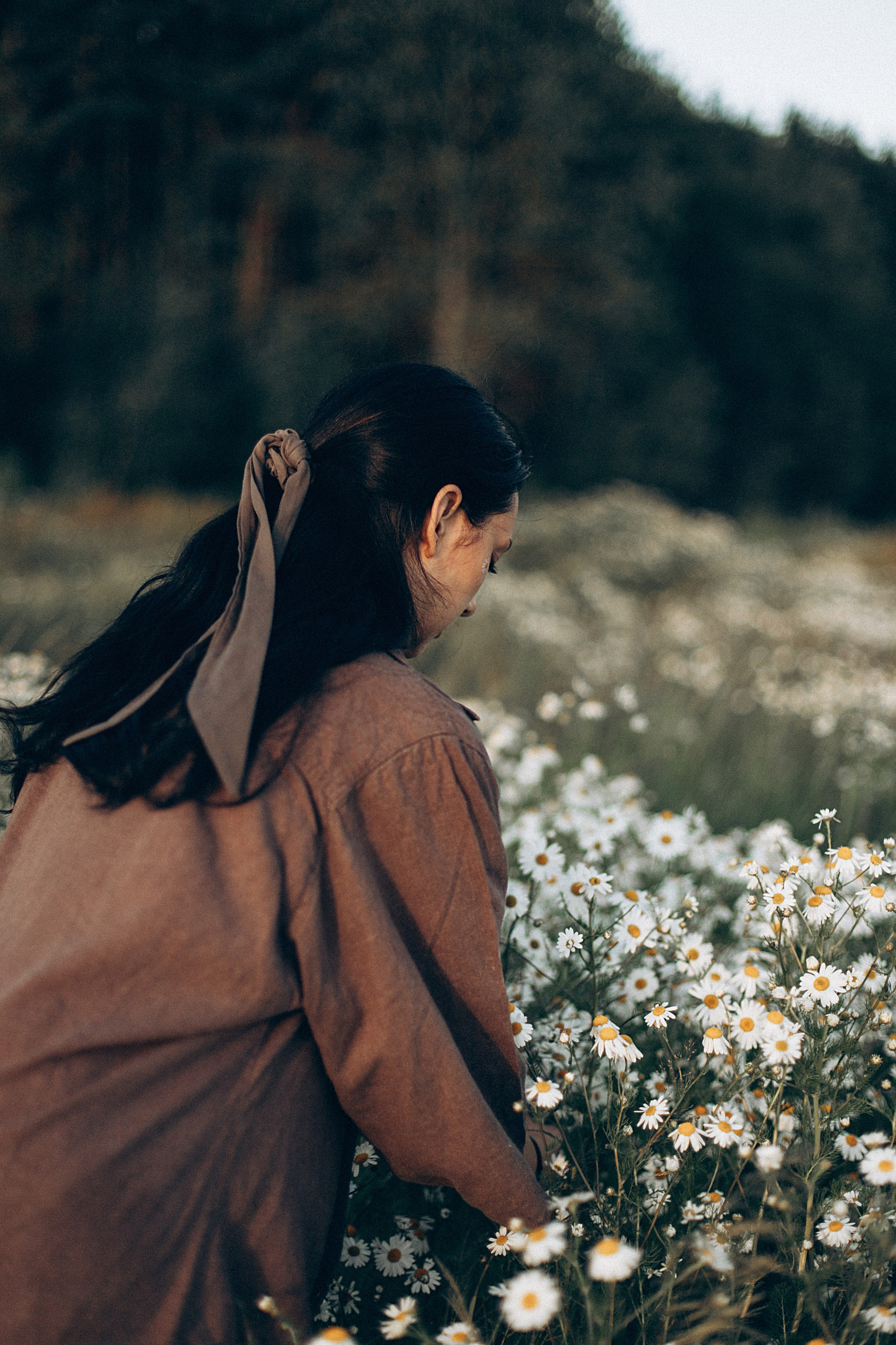 Ромашки. Репортажный и детский фотограф в Минске
