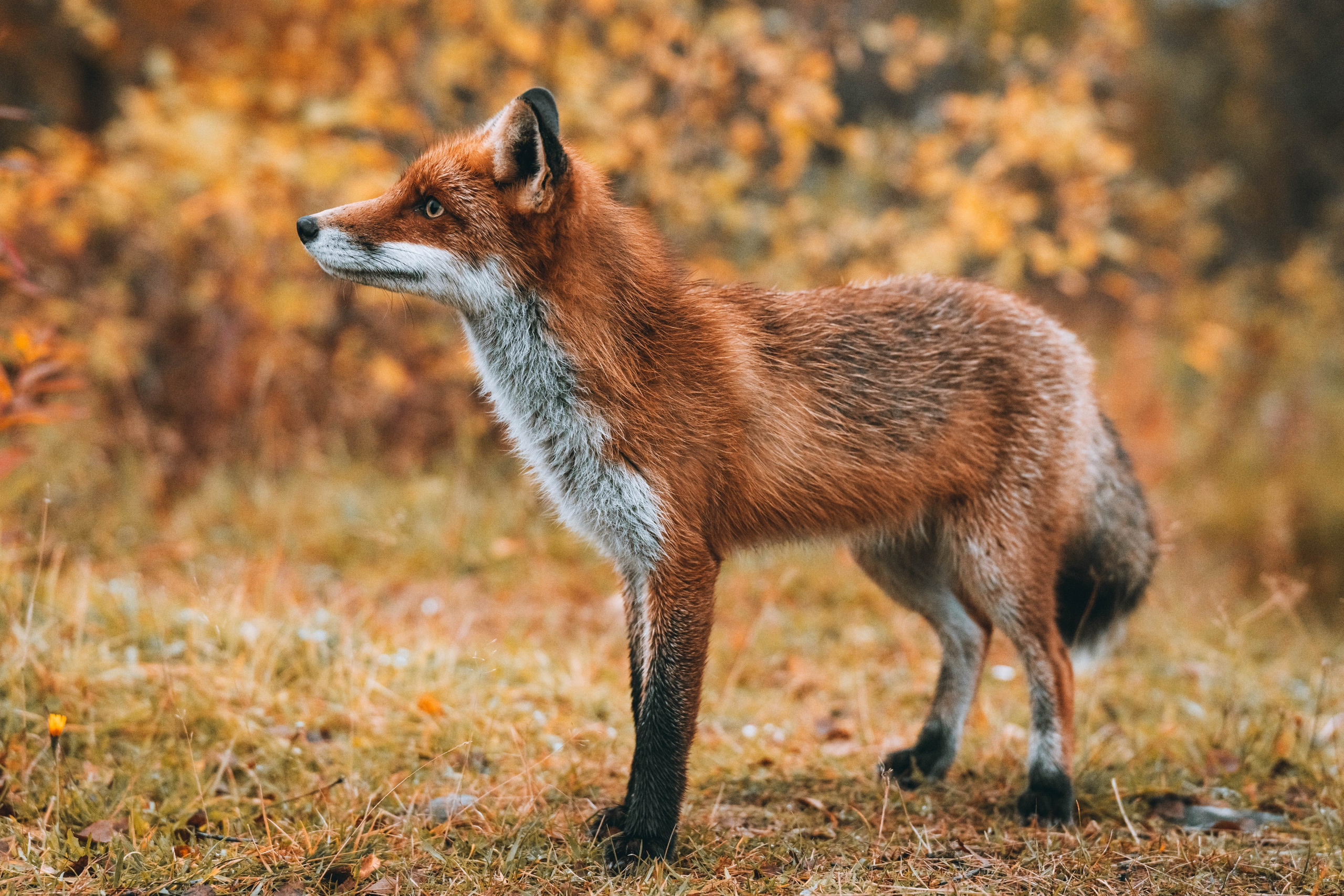 СЕВЕР. Event фотограф Степанова Александра