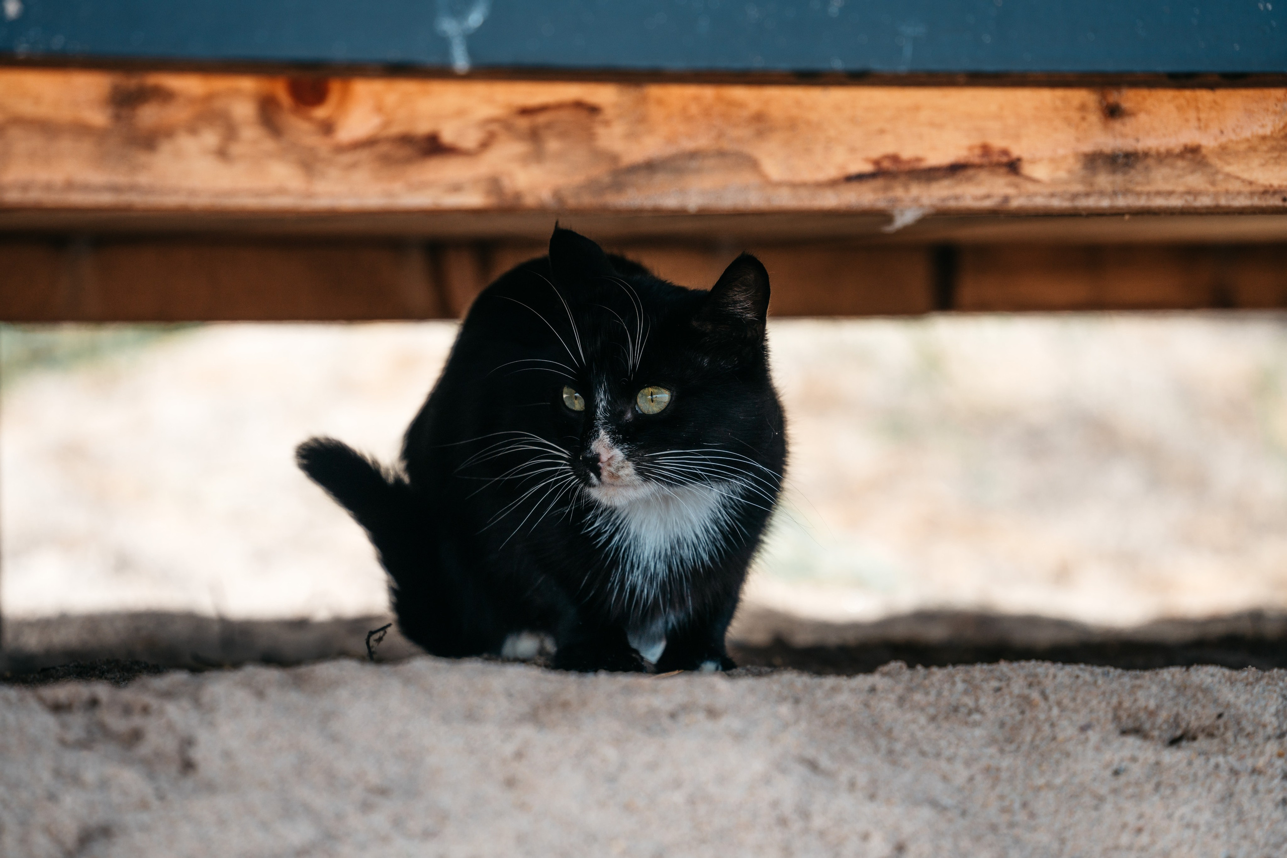 СЕВЕР. Event фотограф Степанова Александра