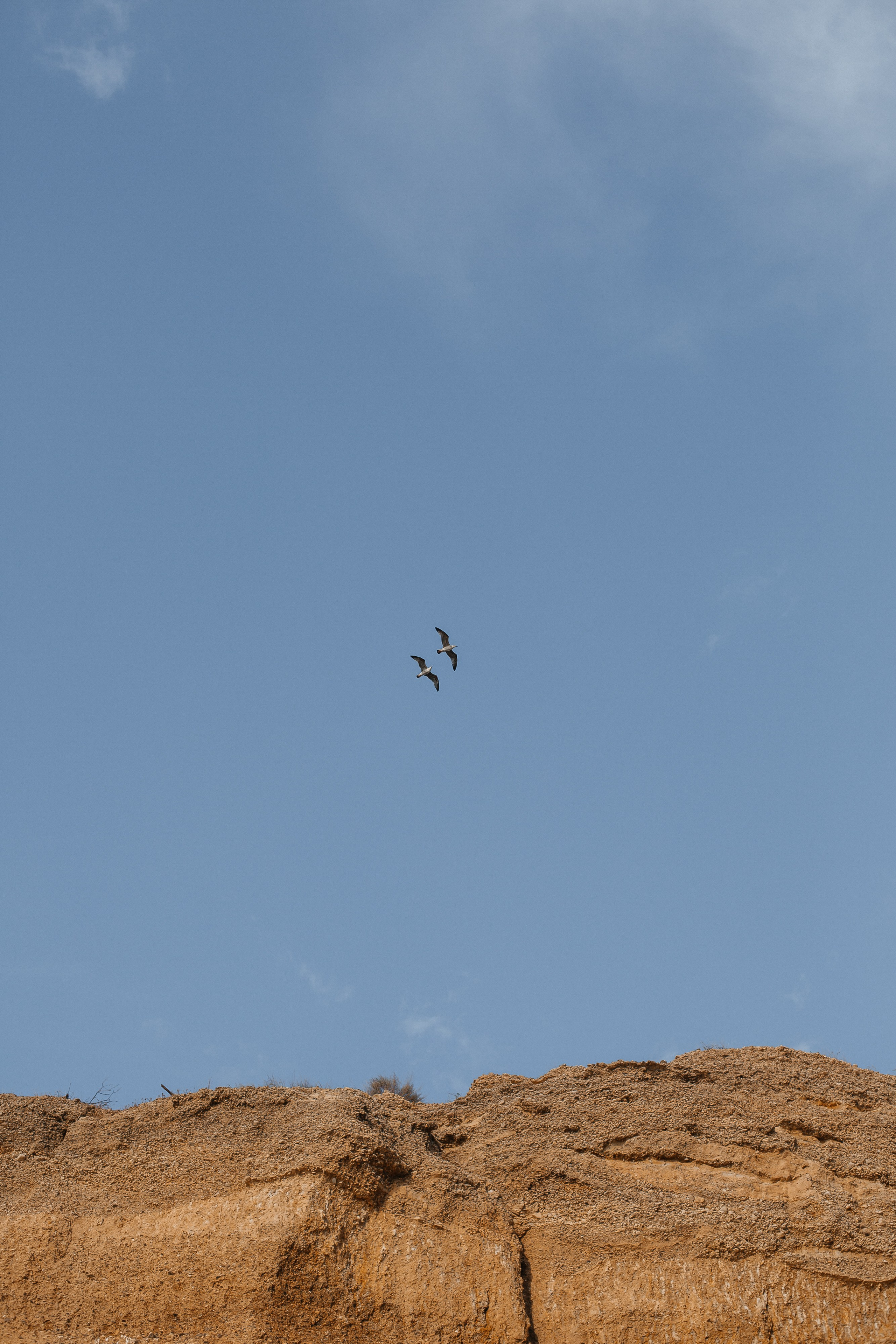 Инна, Саша, Димасик