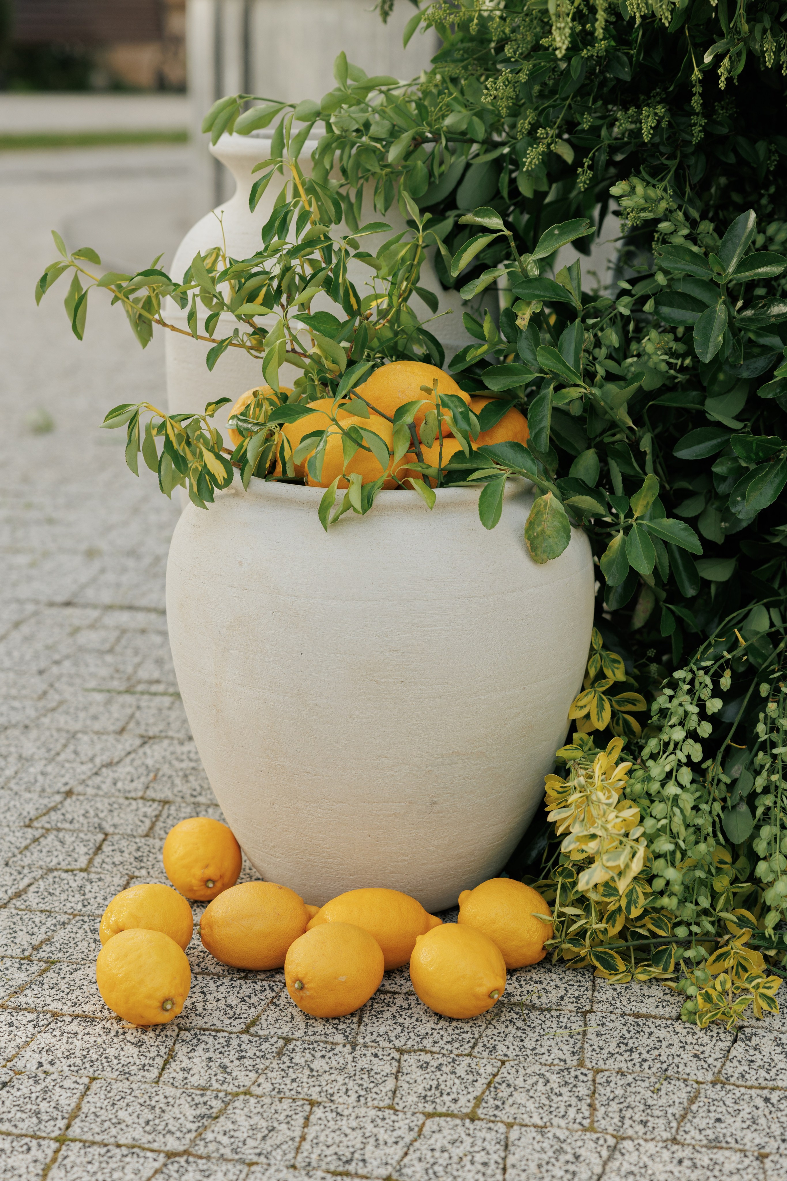 Василий и Алина. Свадебное агентство «LUKHMANOVA.Weddings&Events»