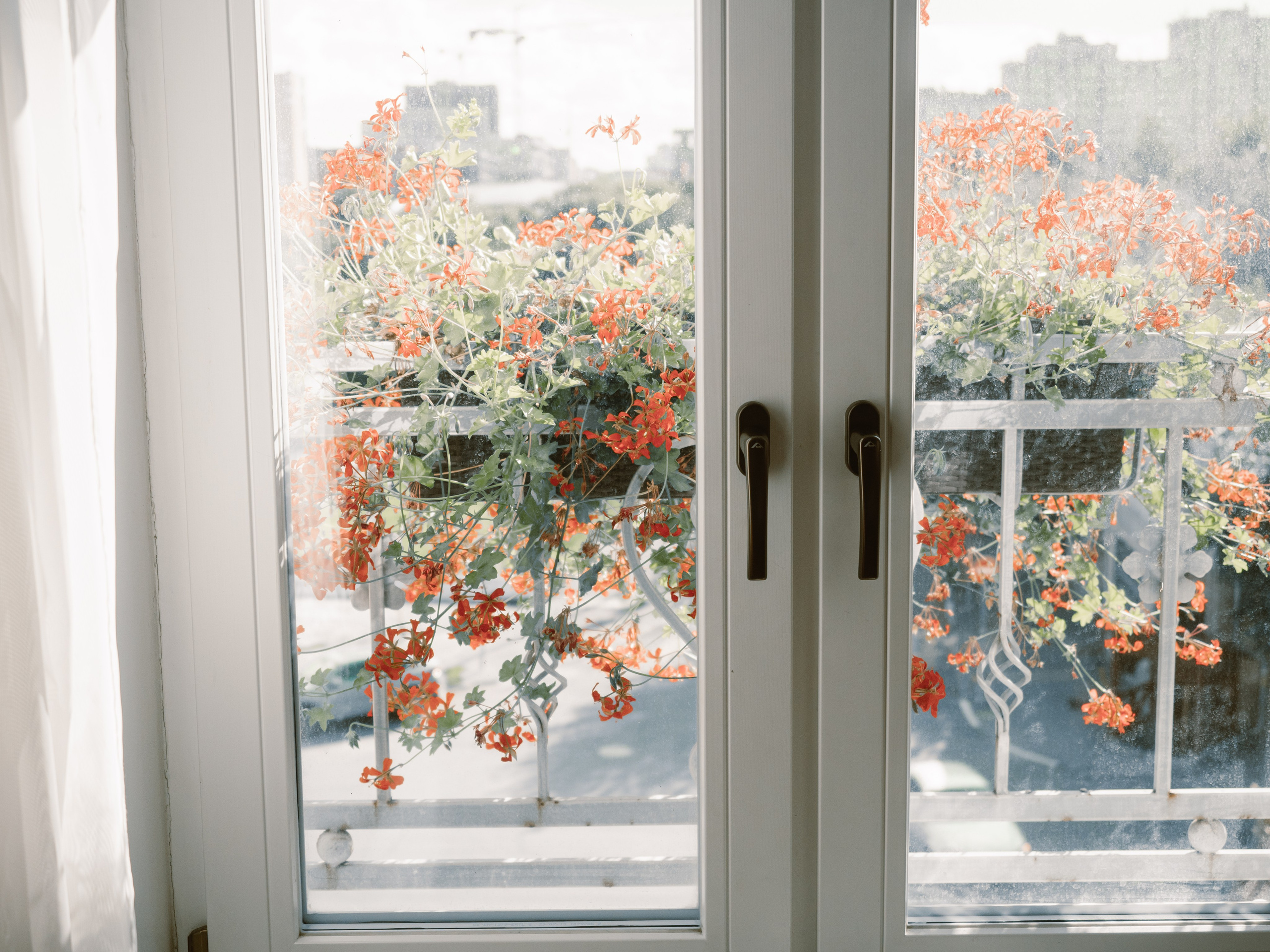 Анастасия и Артём. Фотограф Рязань. Семейный Свадебный фотограф