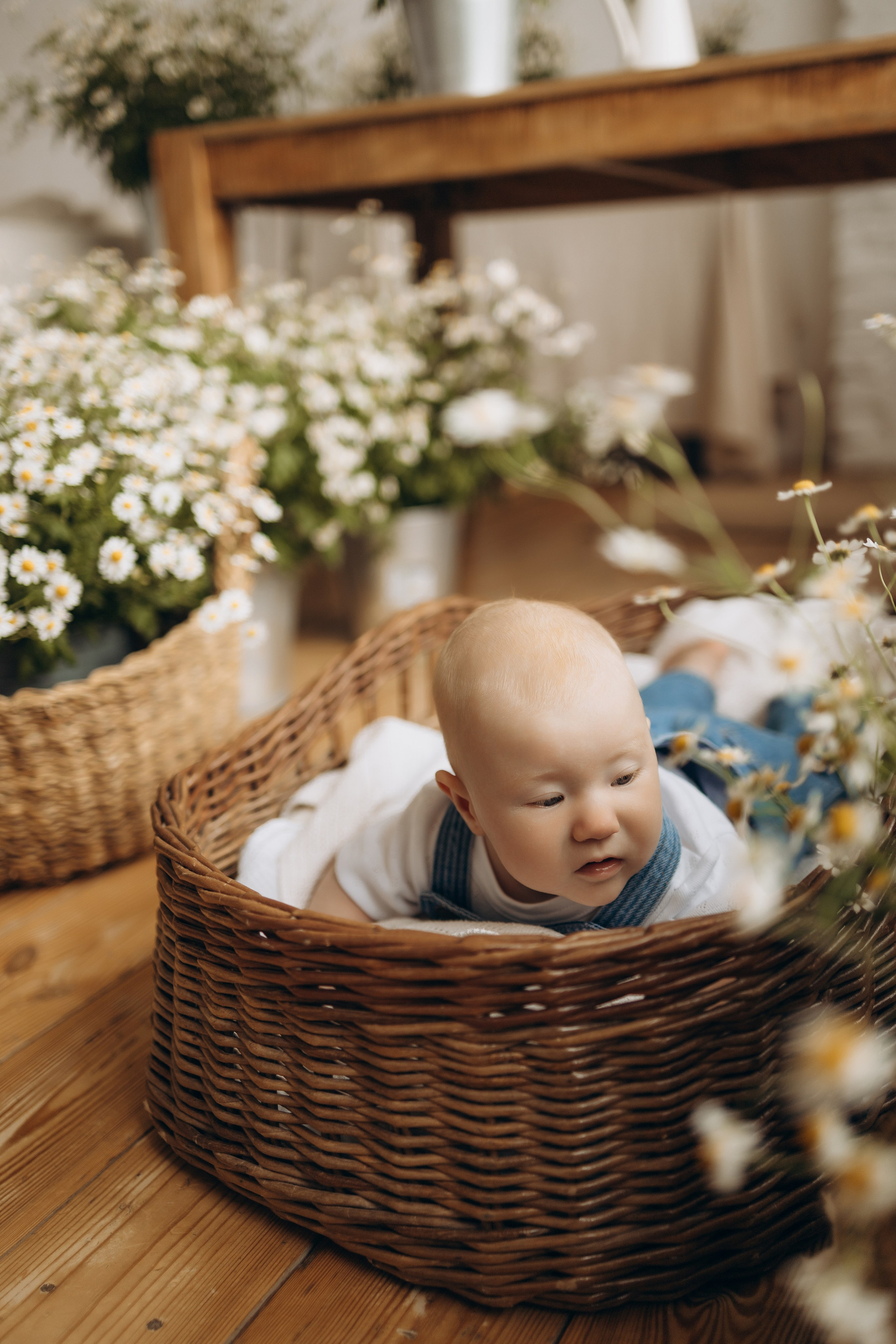 Оливия. Самый теплый фотограф в Краснодаре Рябоконь Ксения