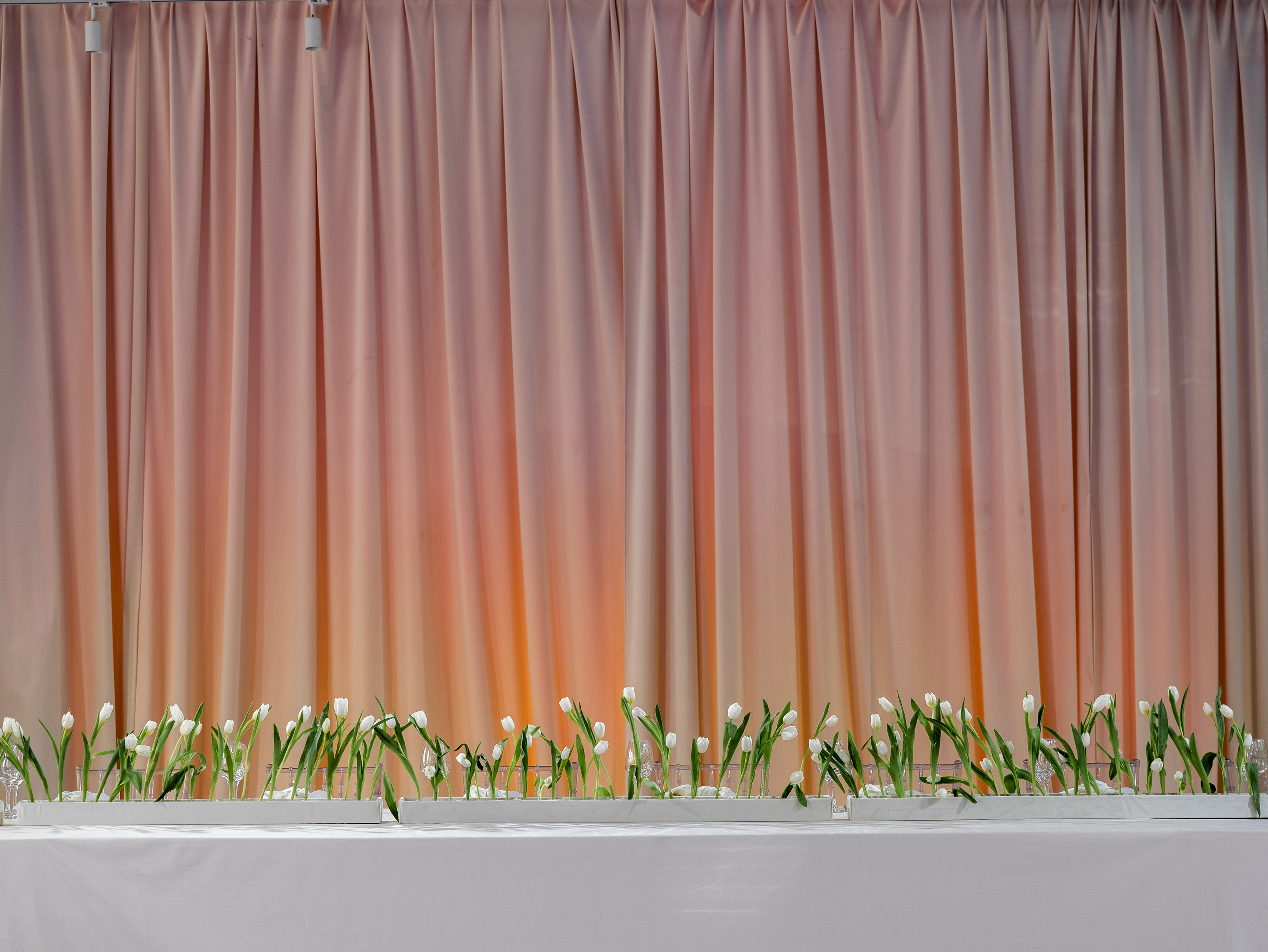 Таисия и Алексей. Свадебный фотограф в Москве Топтыгин Иван