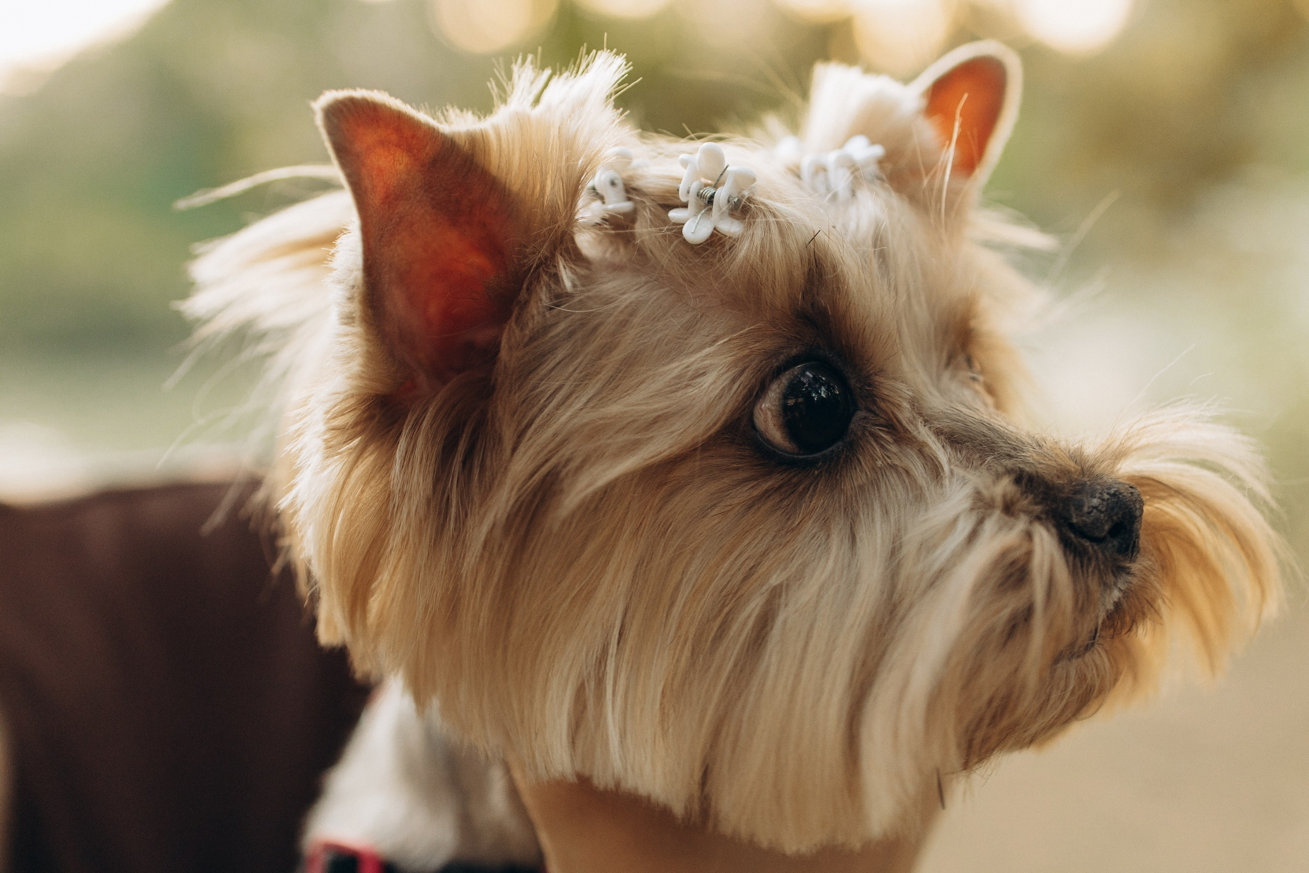 Влад и Ксюша. Самый теплый фотограф в Краснодаре Рябоконь Ксения
