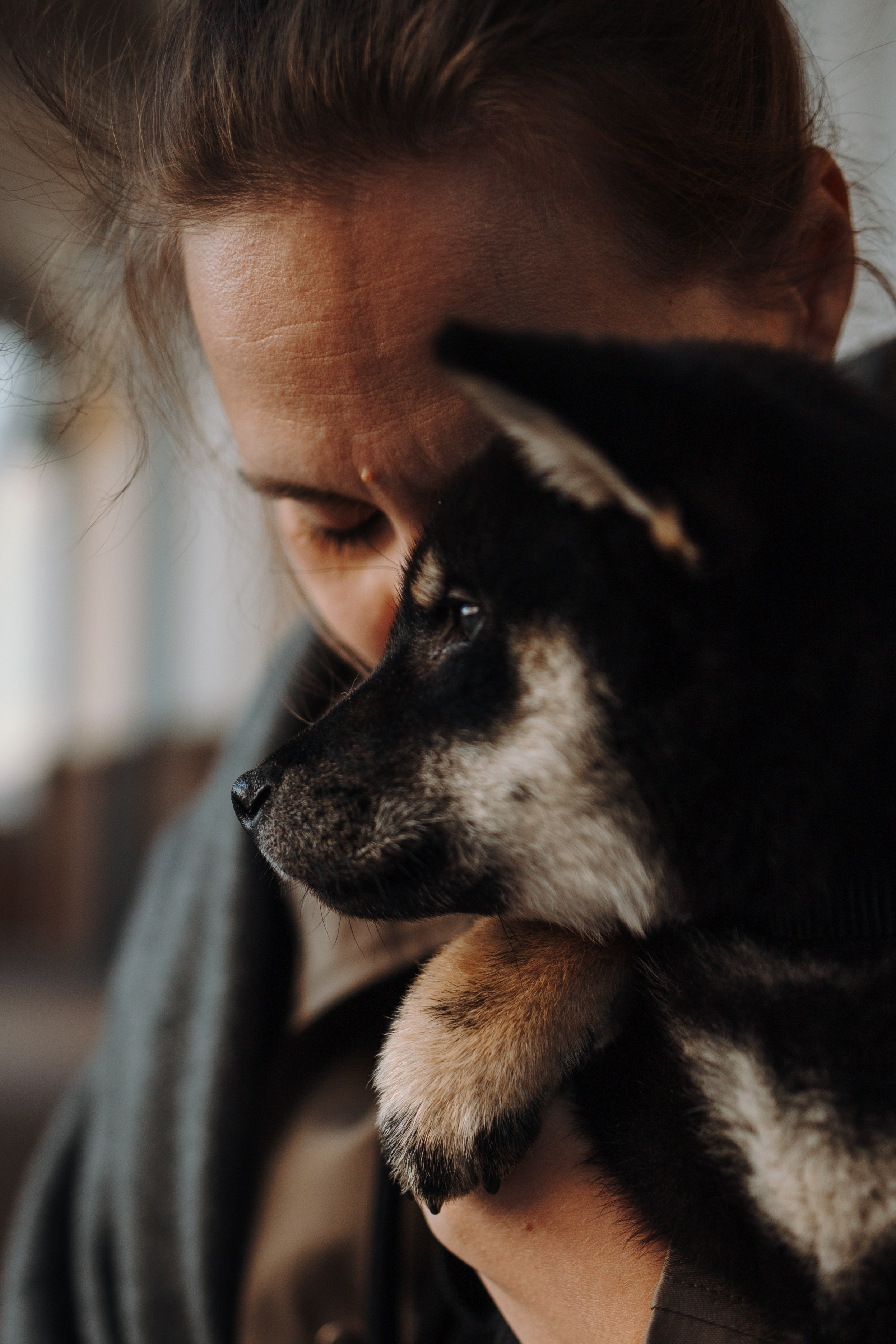 Даша и ее девочки. Фотограф — Анималист | Санкт-Петербург