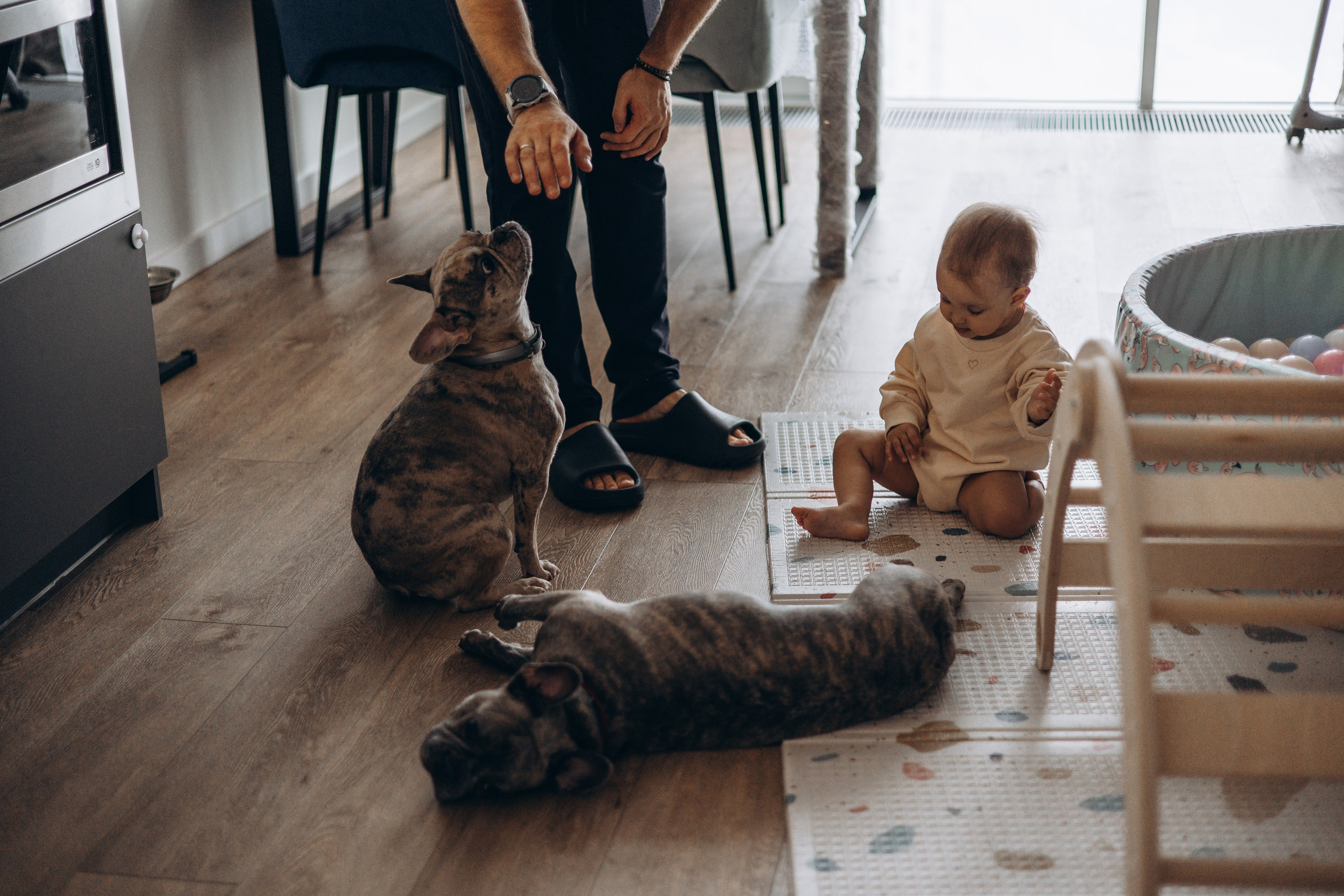 Соня и ее семья. Фотограф — Анималист | Санкт-Петербург