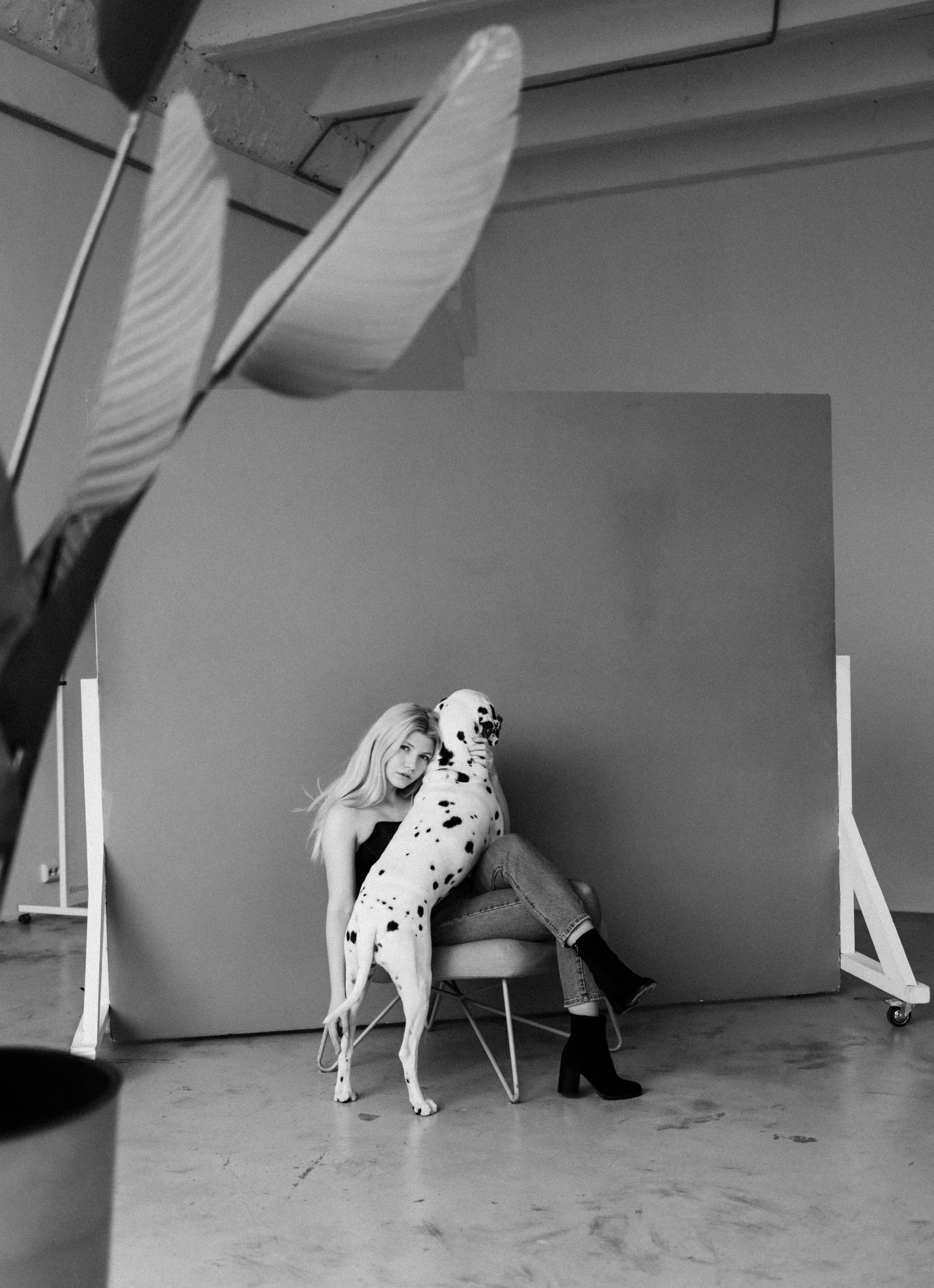 С хвостиками. Портретный фотограф в Москве. Фотосессии с собаками