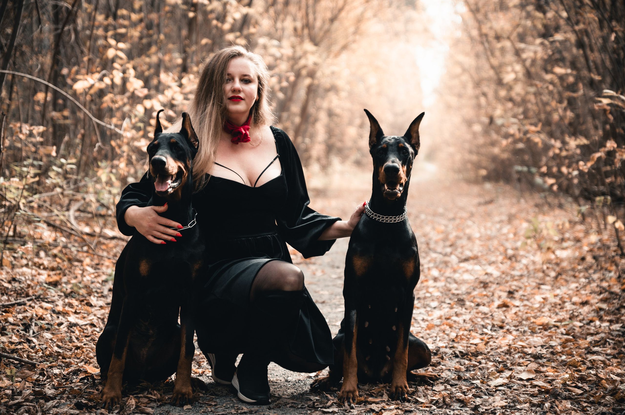 Съемка с доберманами. Фотограф в Новосибирске