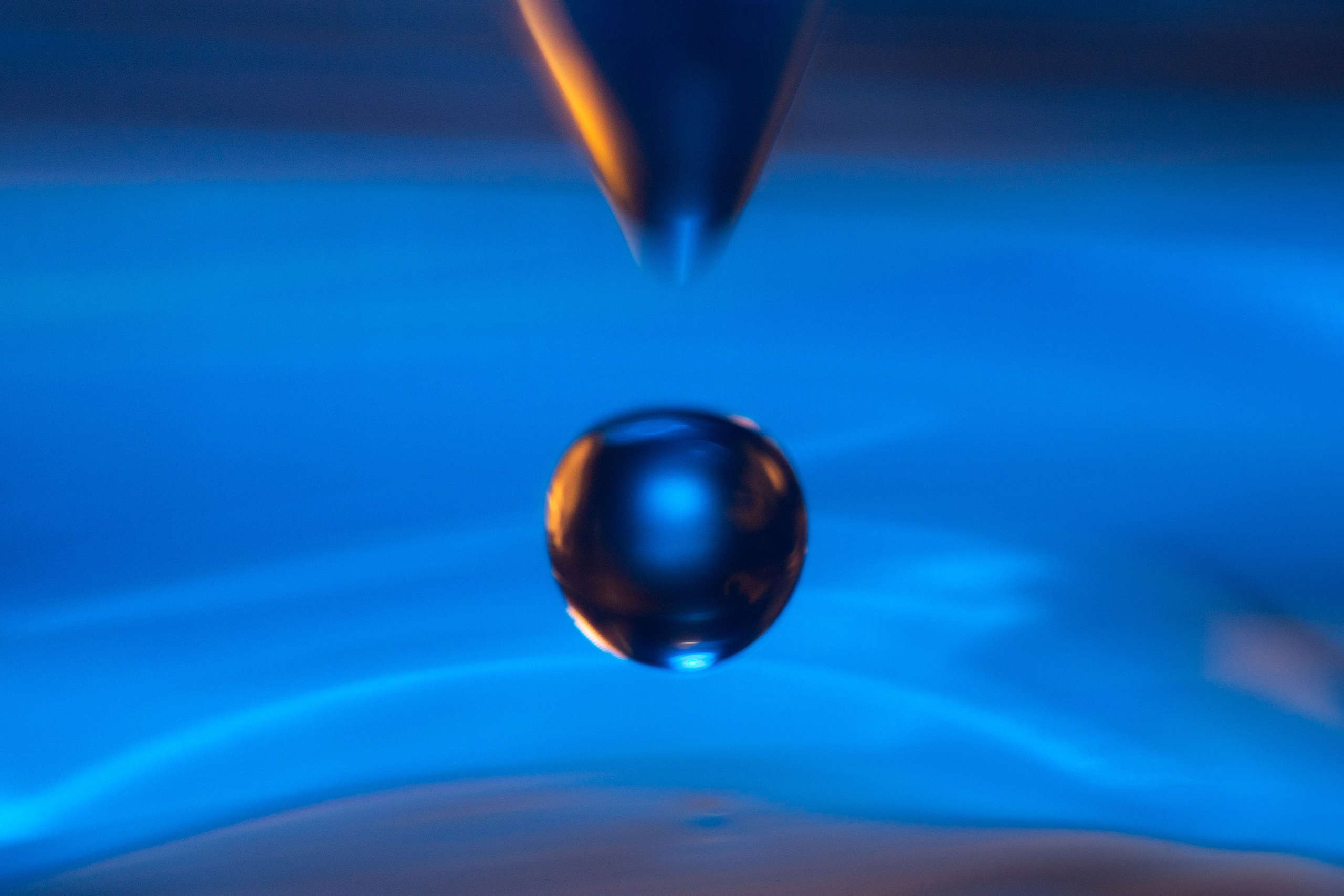 Макро. Фотограф Лагутин Анатолий