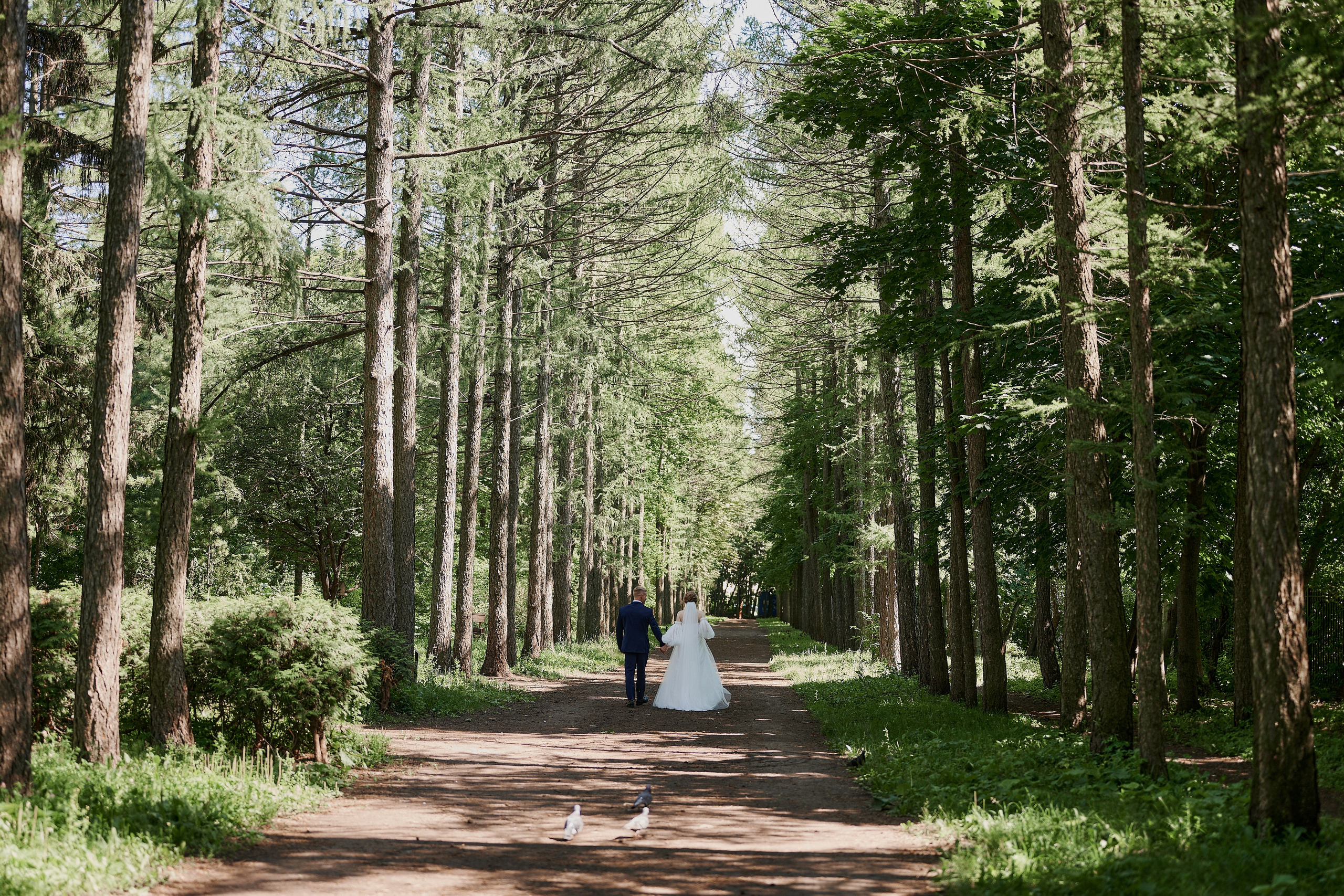 Олег и Лиза. Фото-видеосъемка свадеб Venson Films