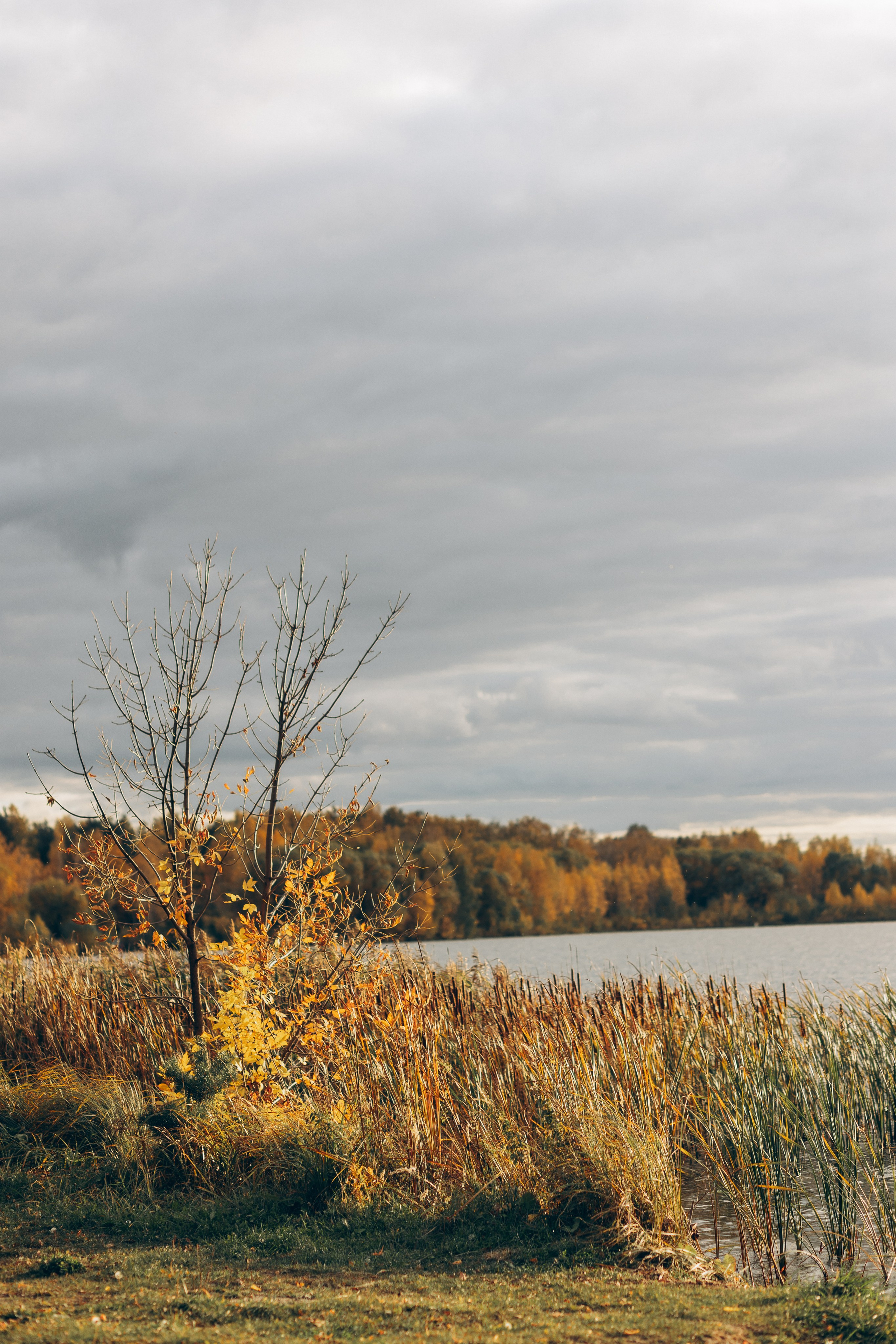 Оксана осень. Фотограф в Челябинске Снежана Резниченко