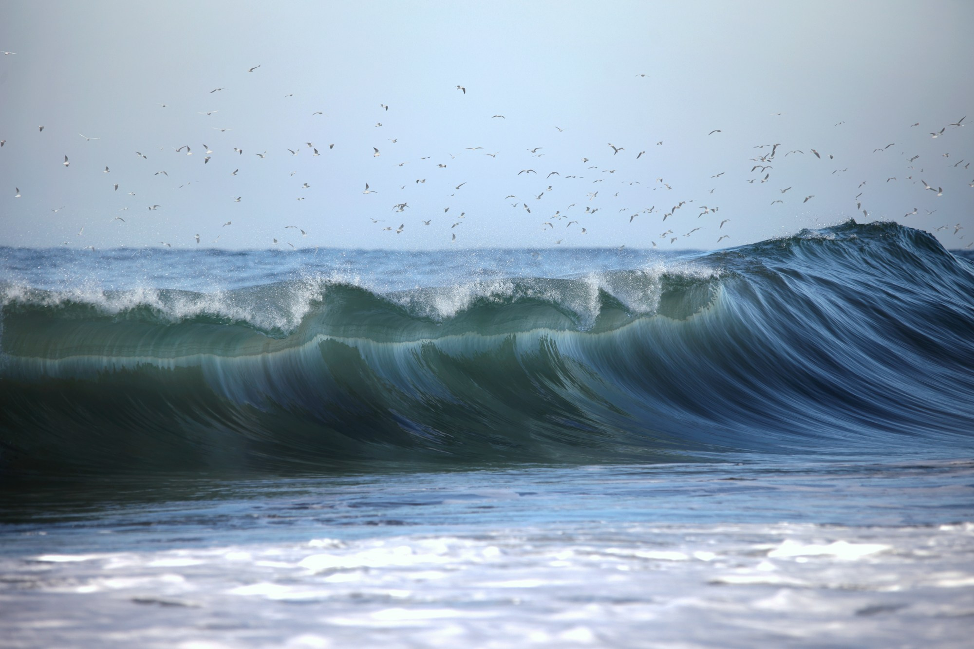 Море и серферы. Репортажный и постановочный Наталья Санникова