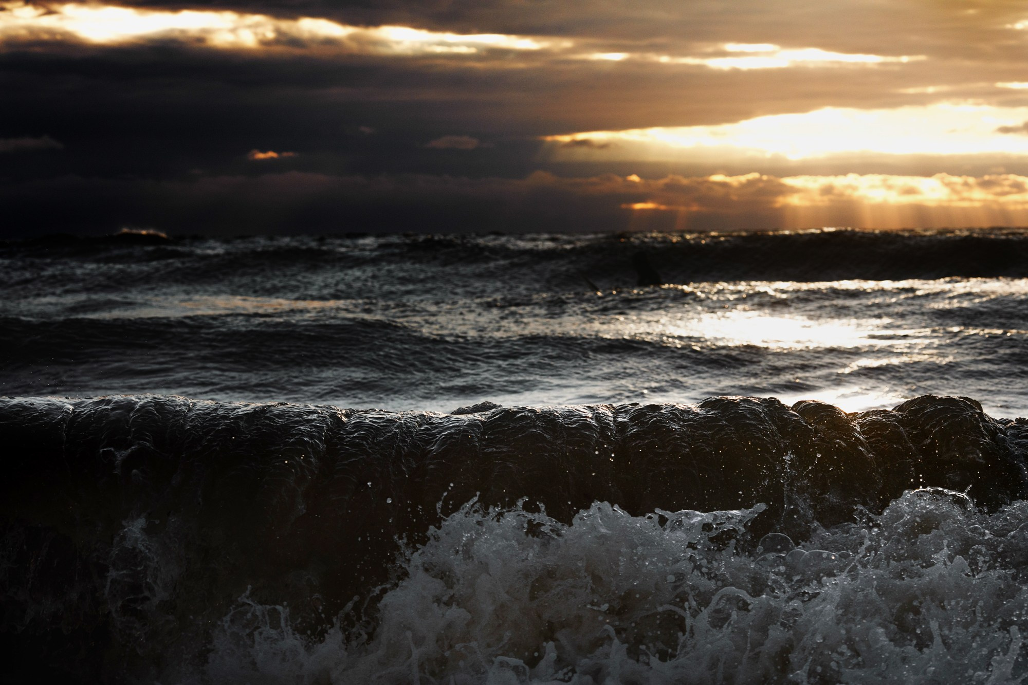 Море и серферы. Репортажный и постановочный Наталья Санникова