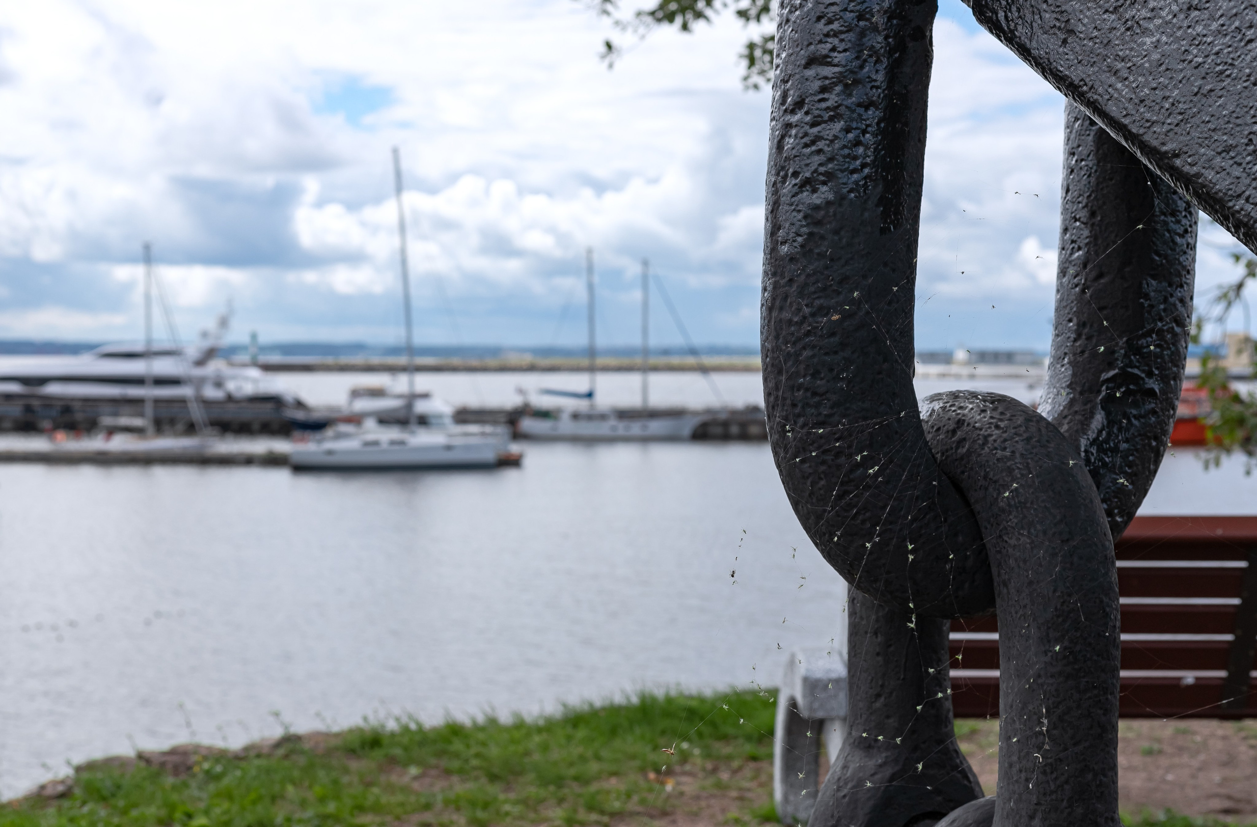 Городская жизнь. Фотограф в Санкт-Петербурге Наталия Денисова
