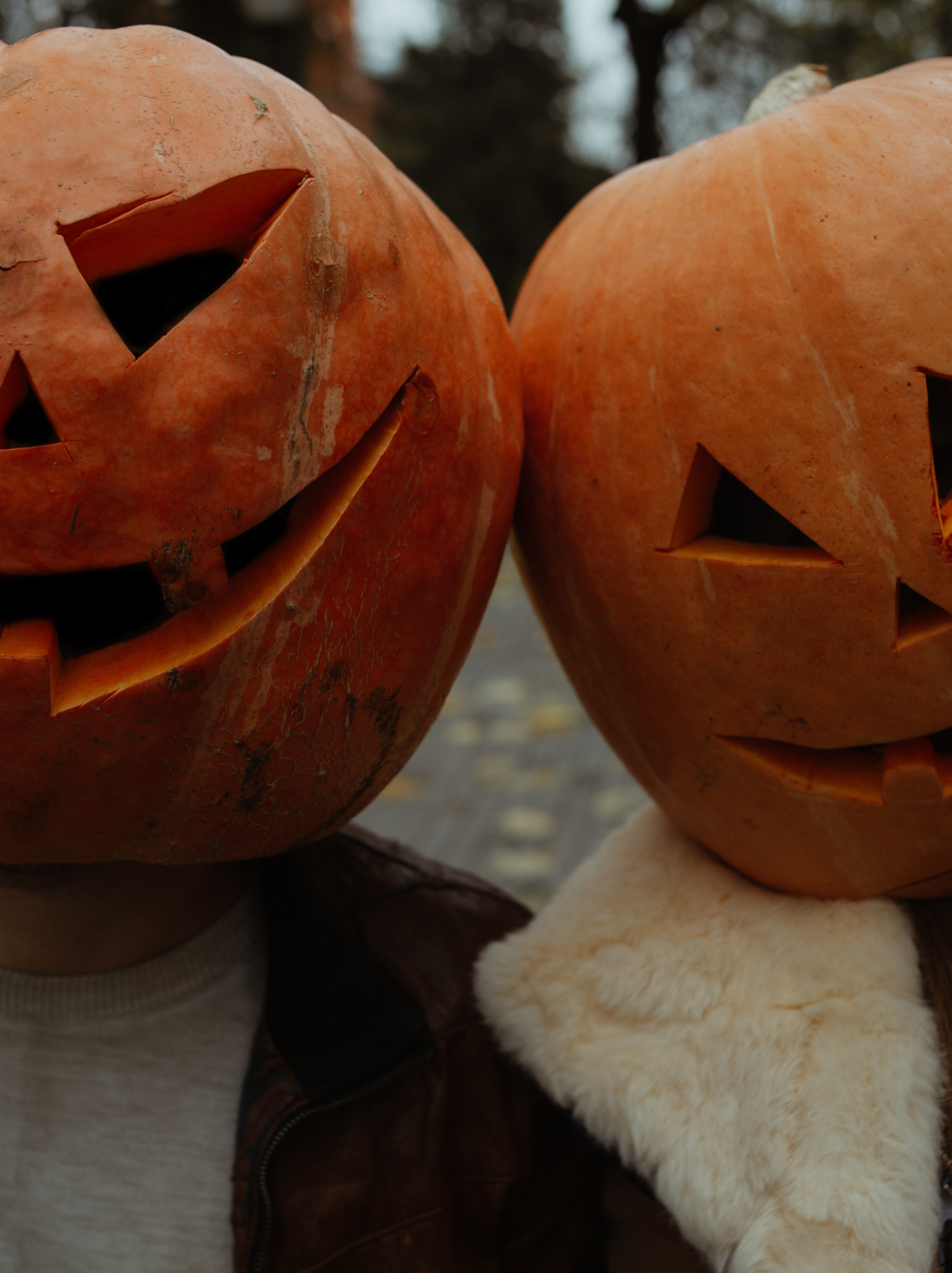 Тыковки. Фотограф Брянск