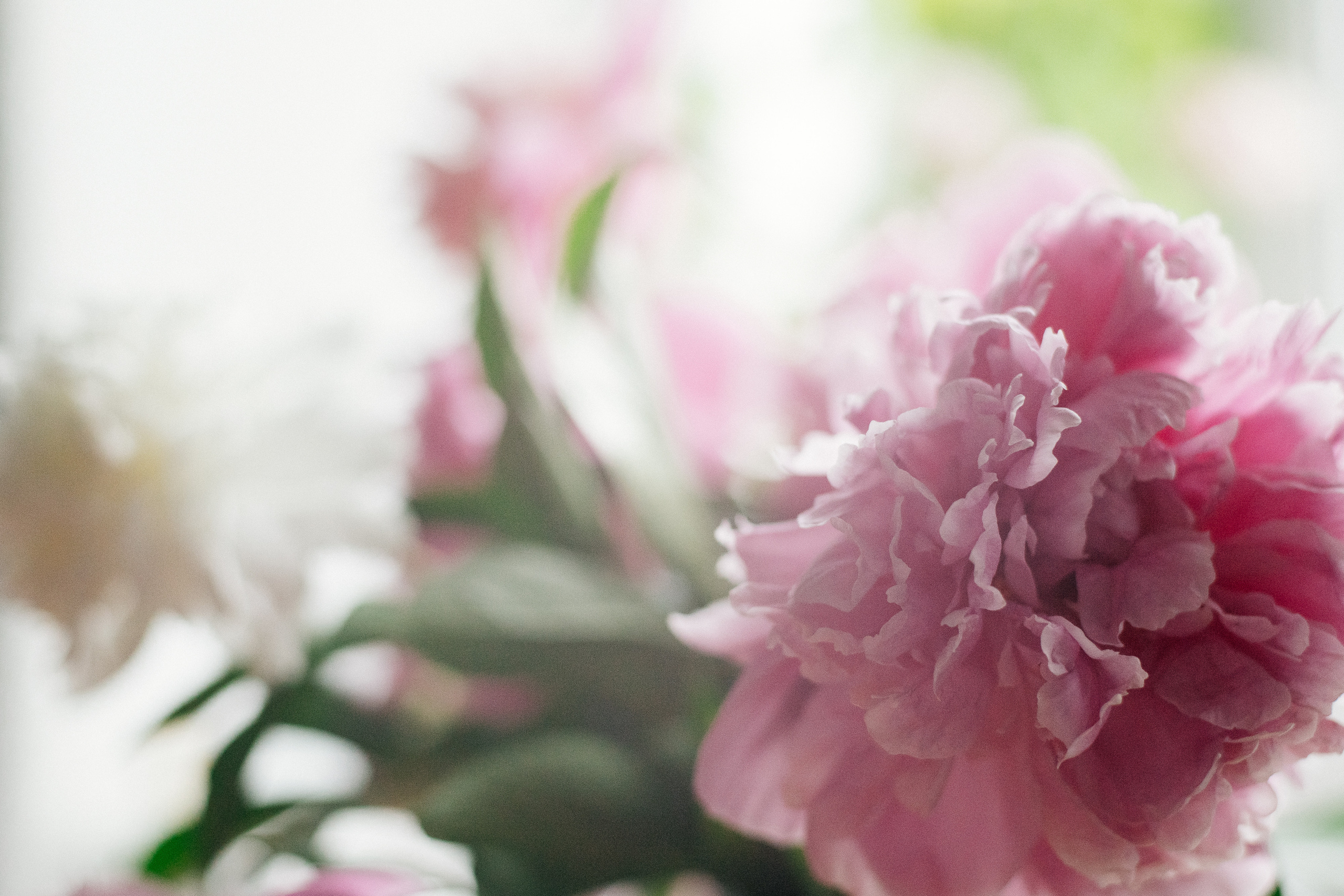 Дима и Яна. Коммерческий фотограф в Иркутске Стас Ларёв