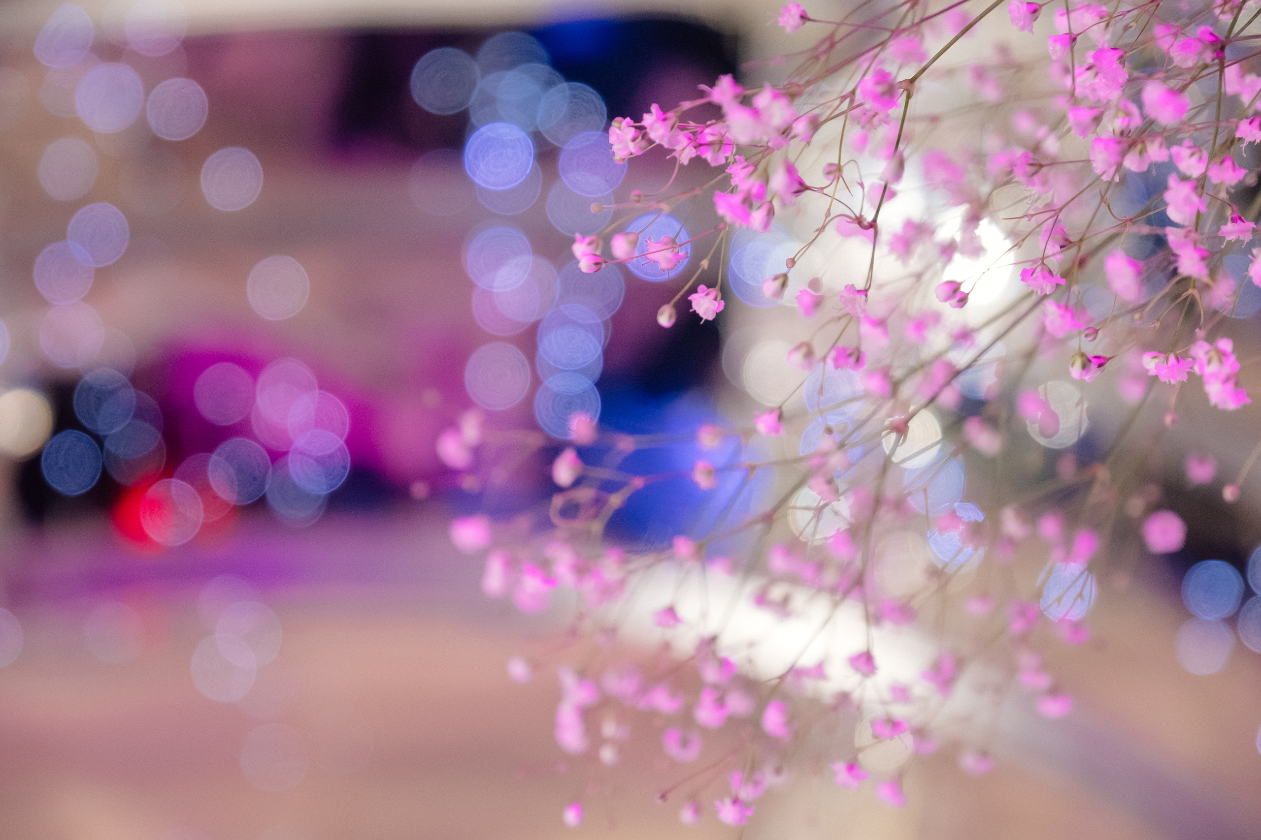 Сергей и Олеся. Коммерческий фотограф в Иркутске Стас Ларёв