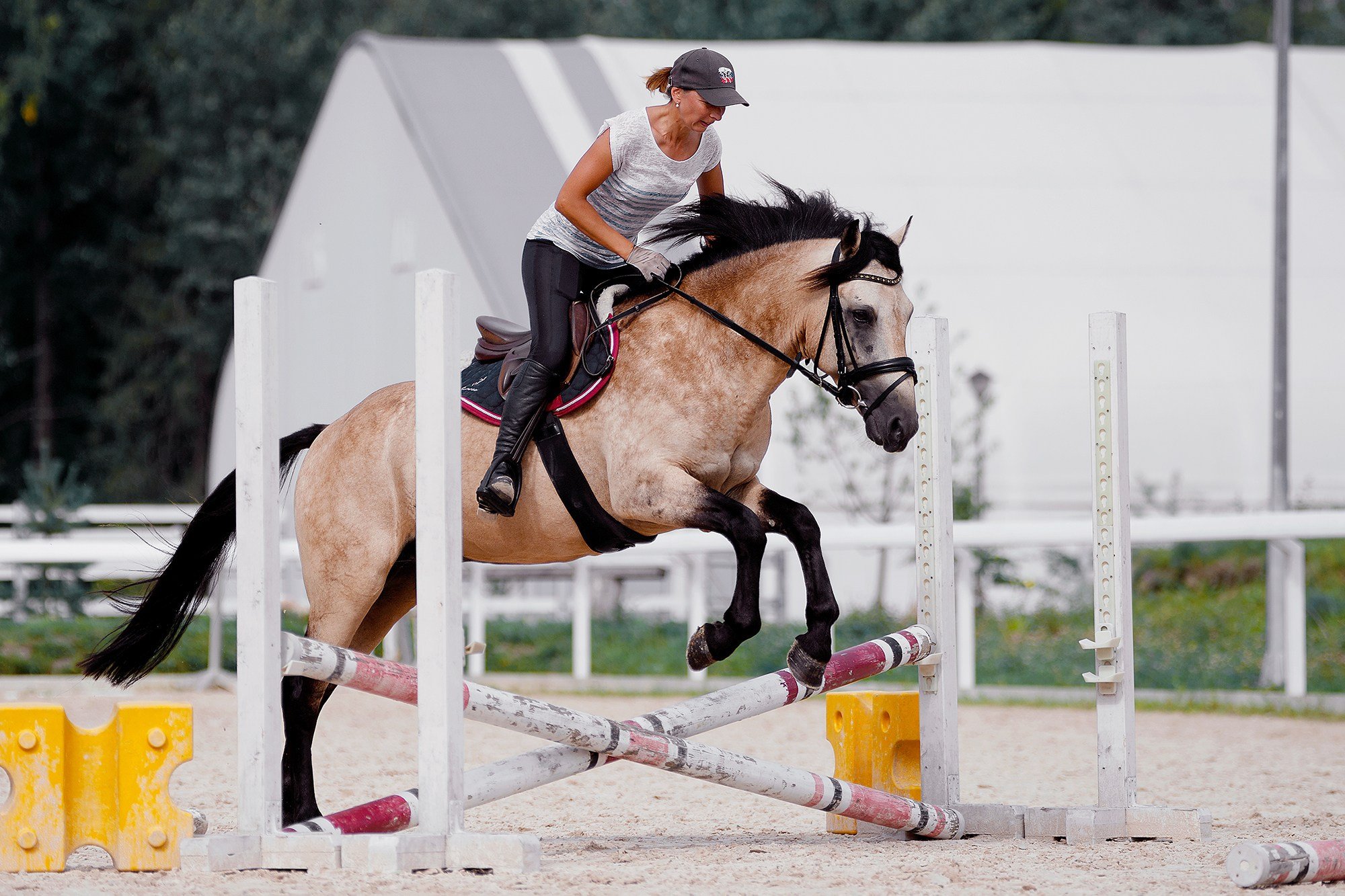 Тренировки. Конный фотограф Alesya Safe