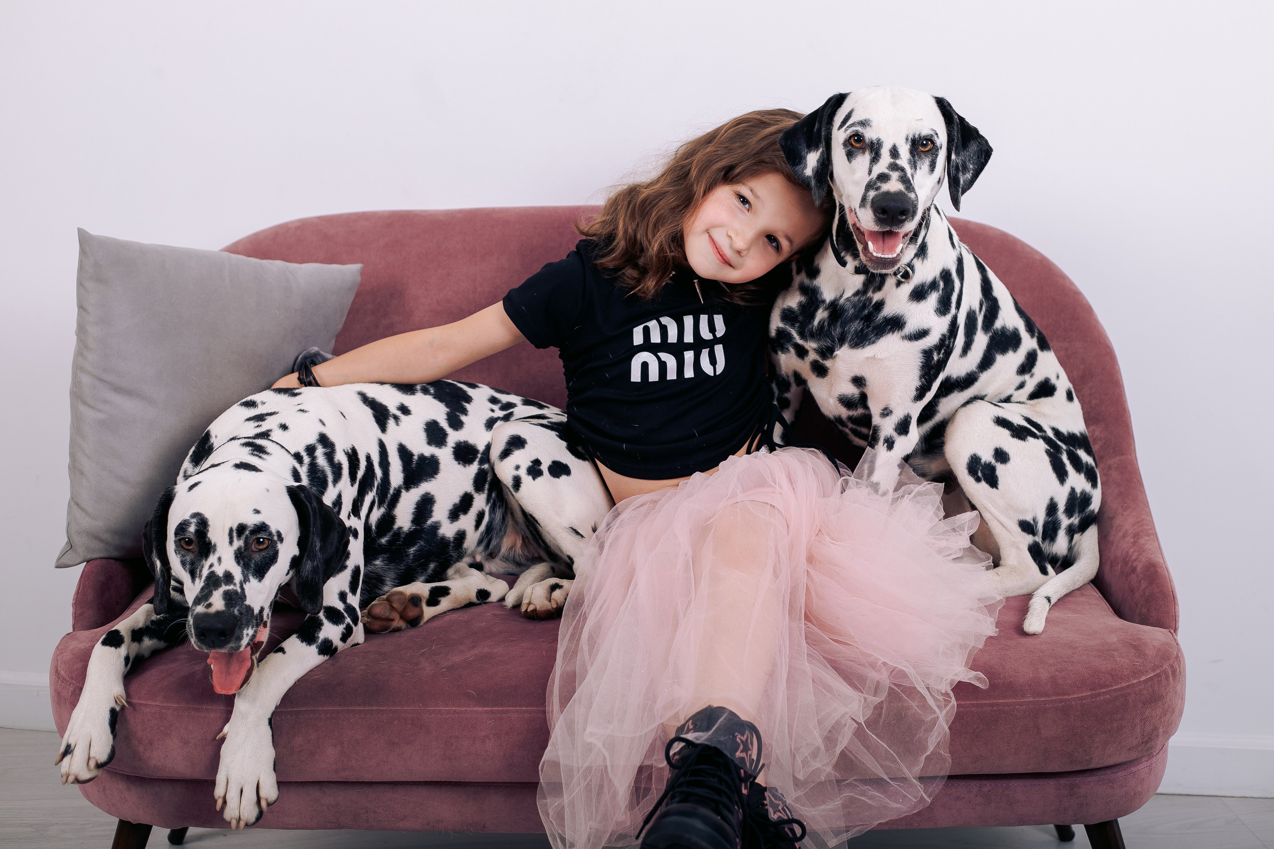 Фотосессия с далматинцами в фотостудии. Фотограф в Санкт-Петербурге, Анна Скворцова