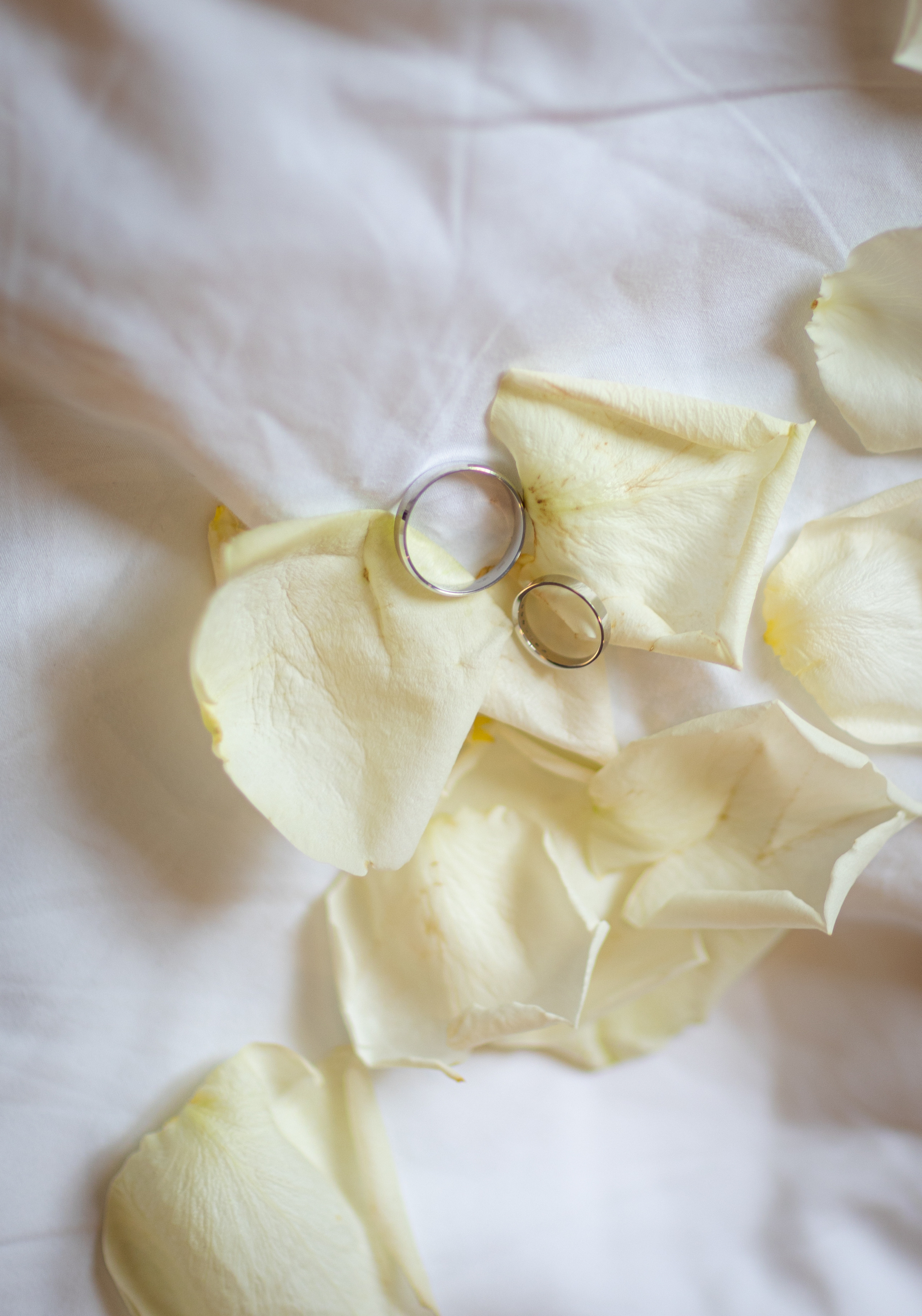 Полина и Михаил. Ваш фотограф — Александра Андрущенко