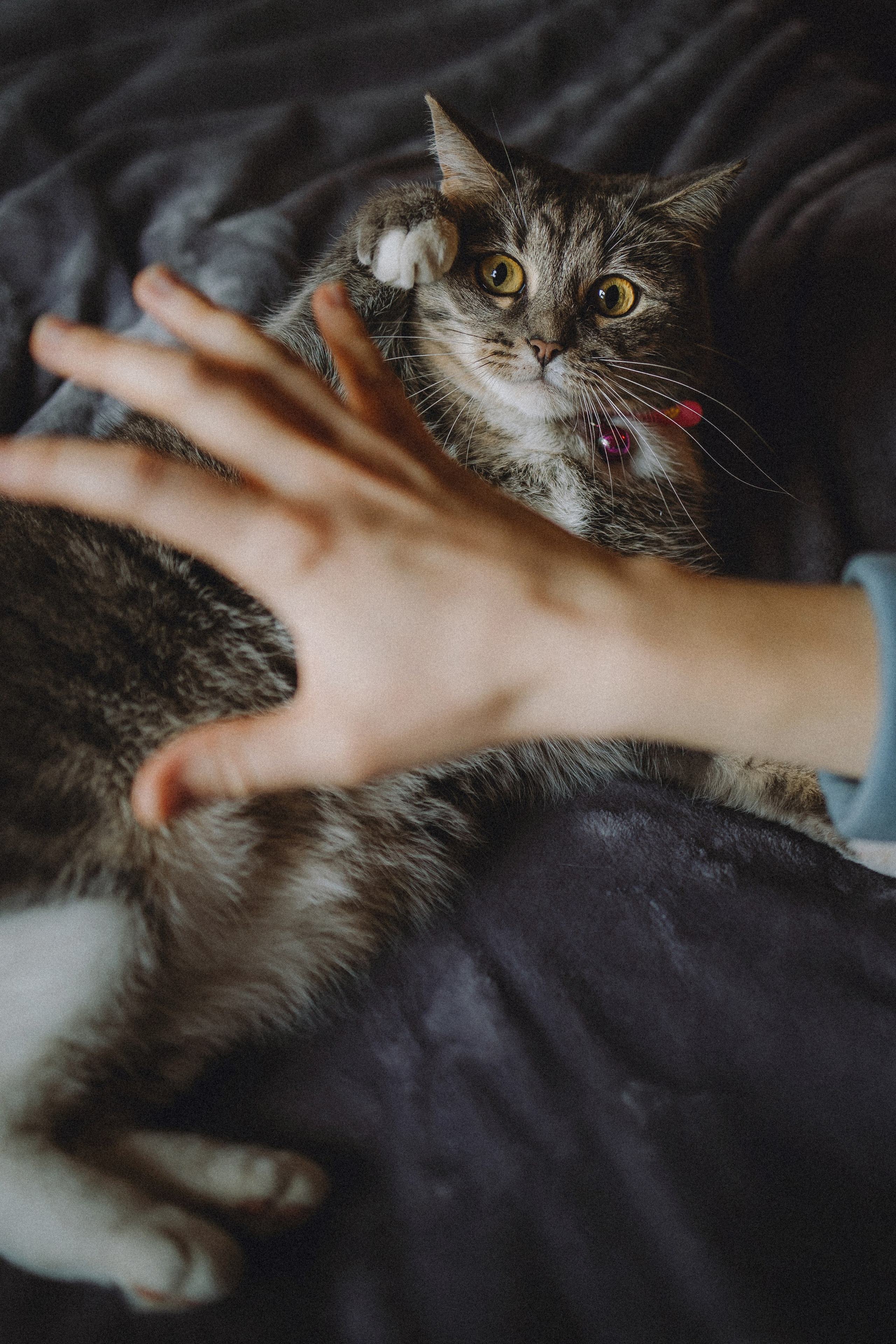 Леброн, Муся и их семья