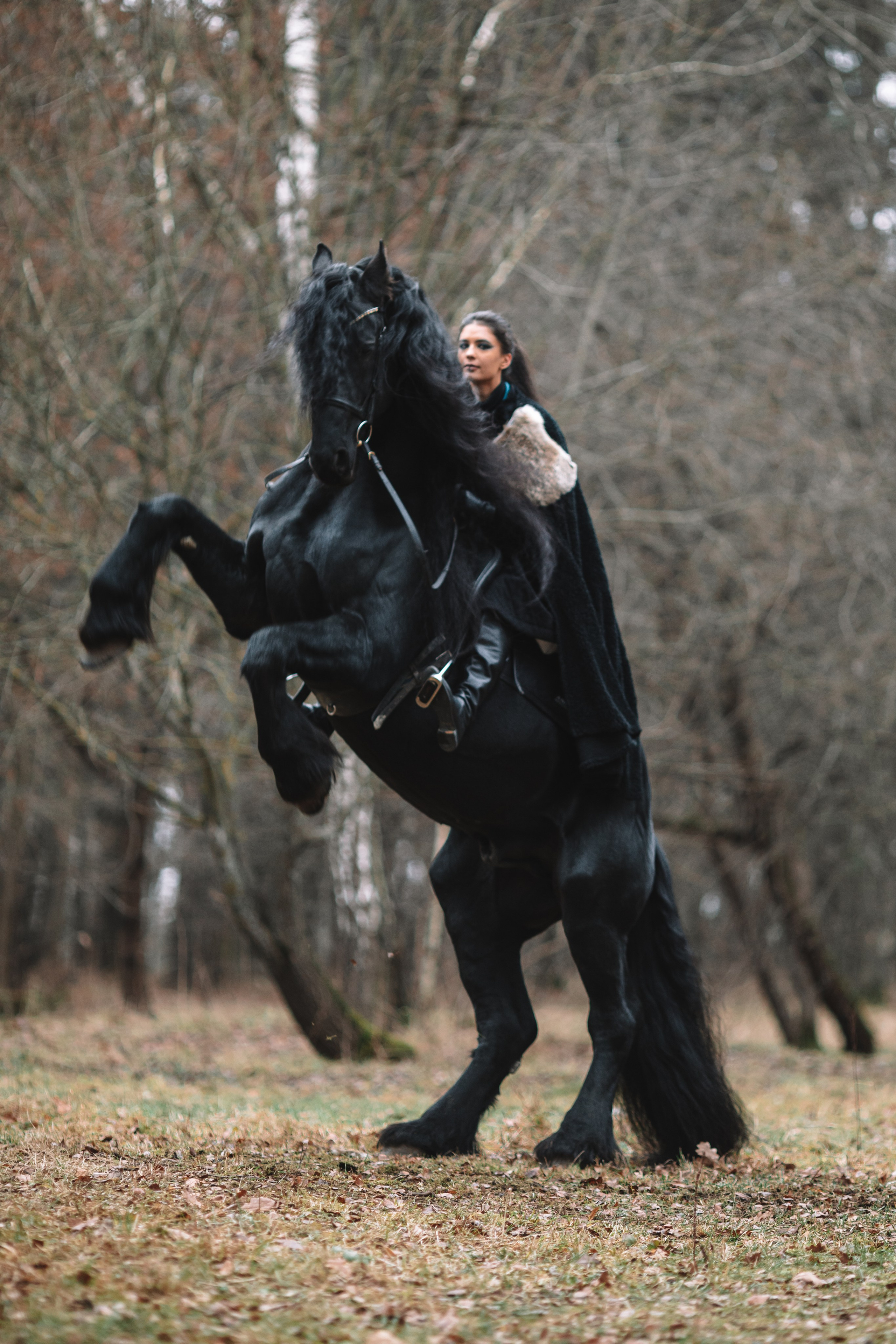 Наташа с фризом в костюме викинга. Фотосессии с лошадьми