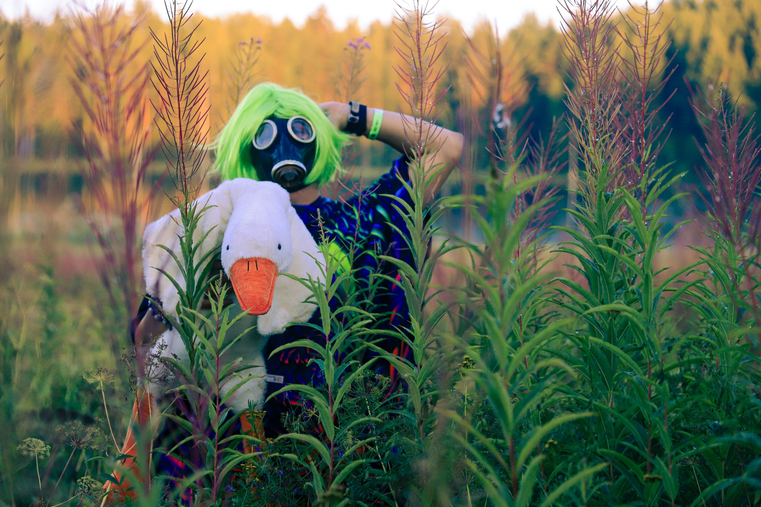 Фестиваль Жива