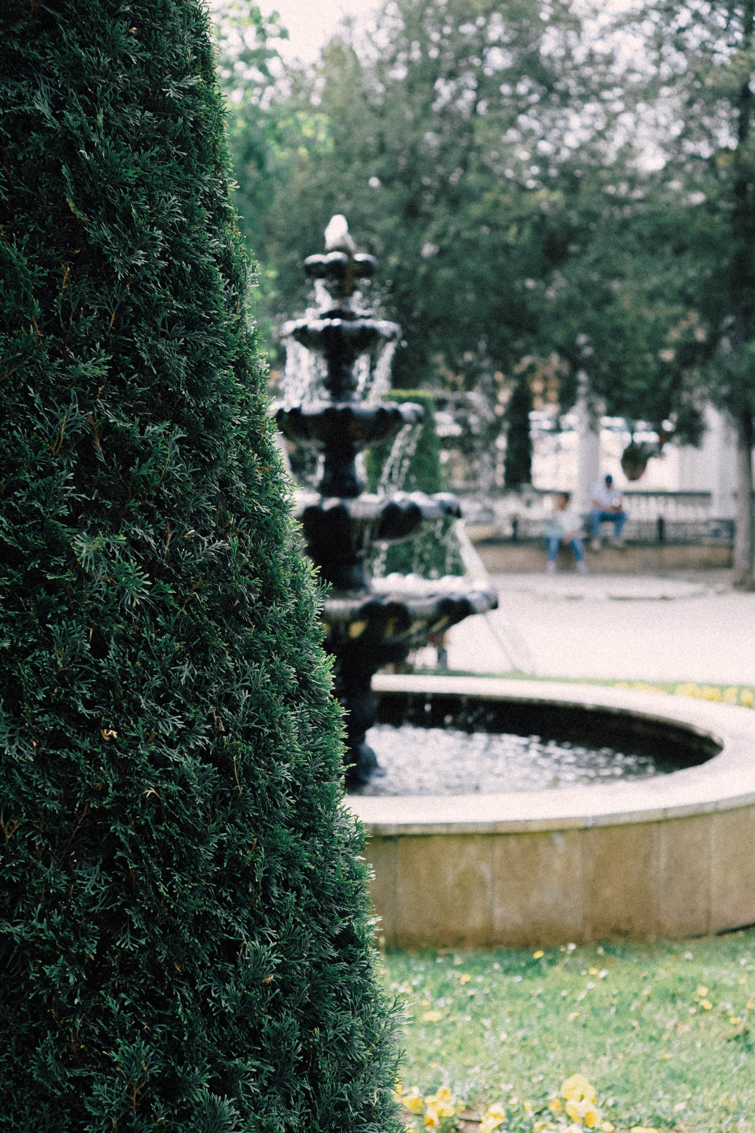 КИСЛОВОДСК. Профессиональный фотограф, Санкт-Петербург — Виктория Богомолова