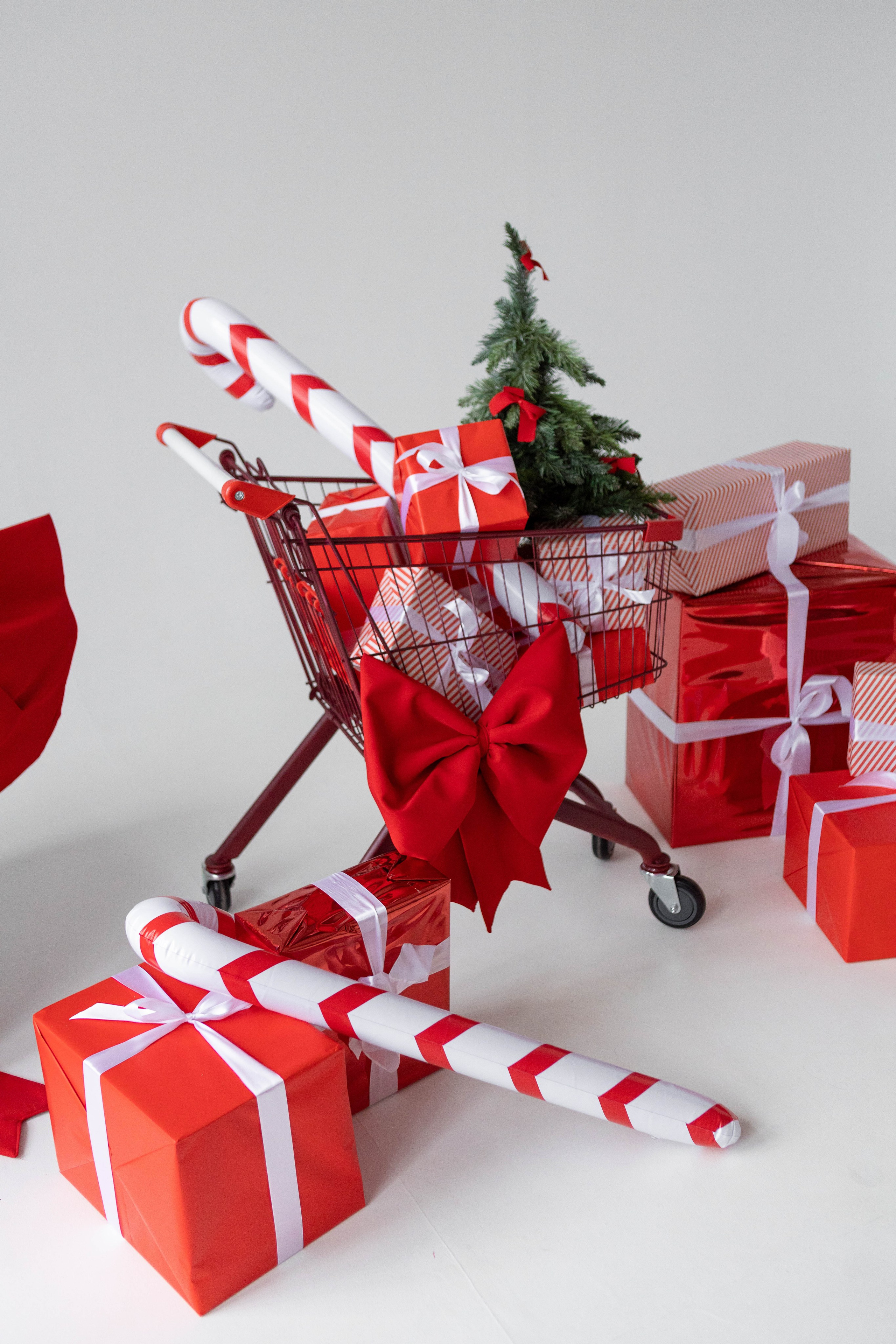 Студия F. Фотограф г. Хабаровск. Семейные и индивидуальные съёмки