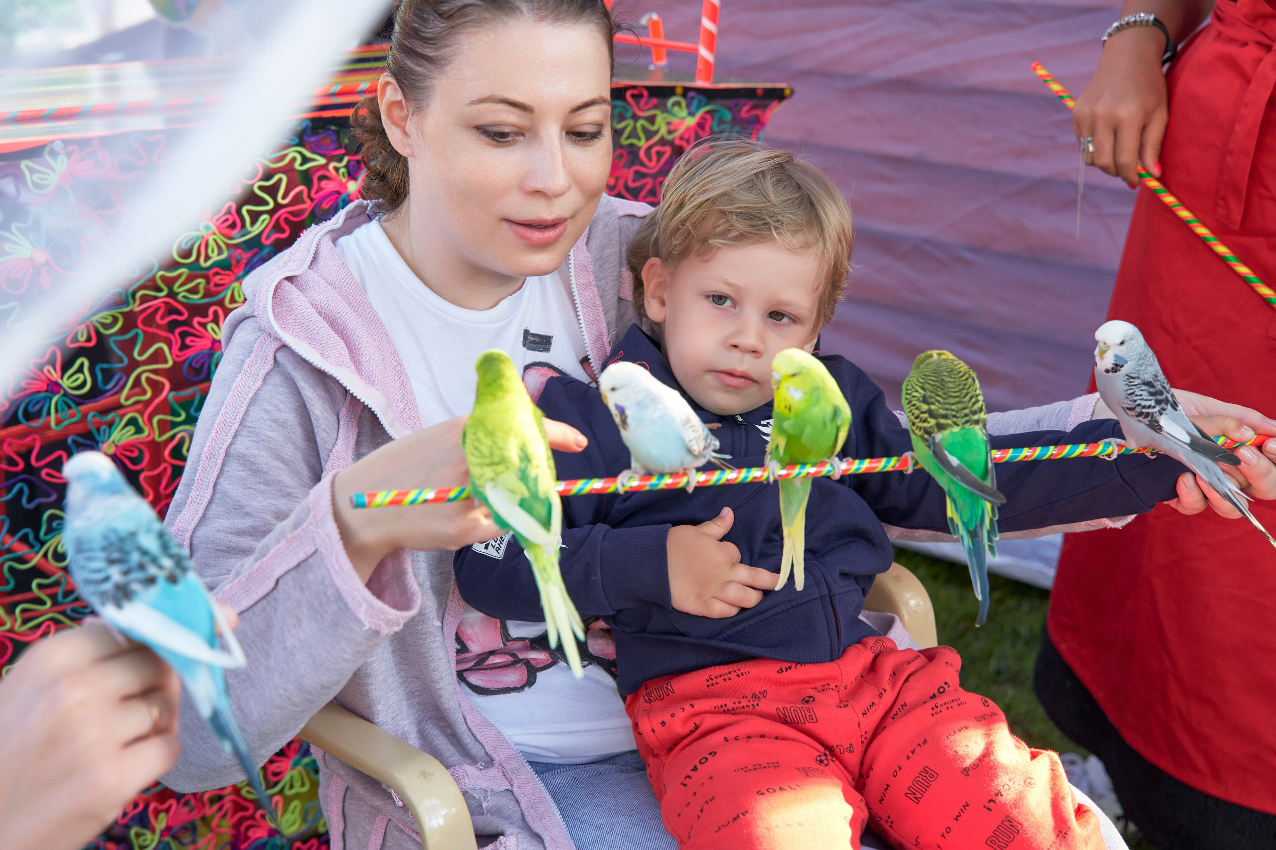 День рождения Максима. Yankovski_001