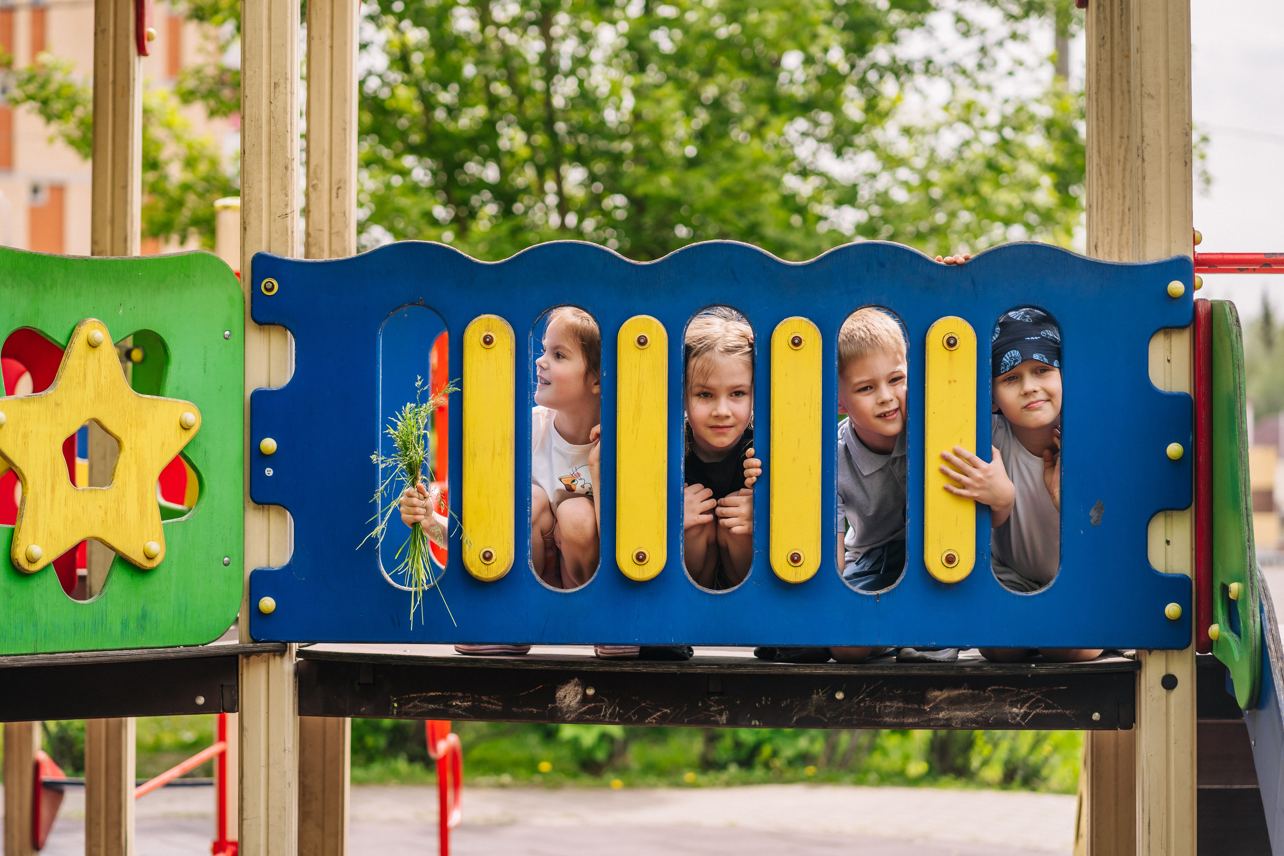 Сад4. Школьные альбомы и альбомы для детского сада. Юлия Осипова. Москва