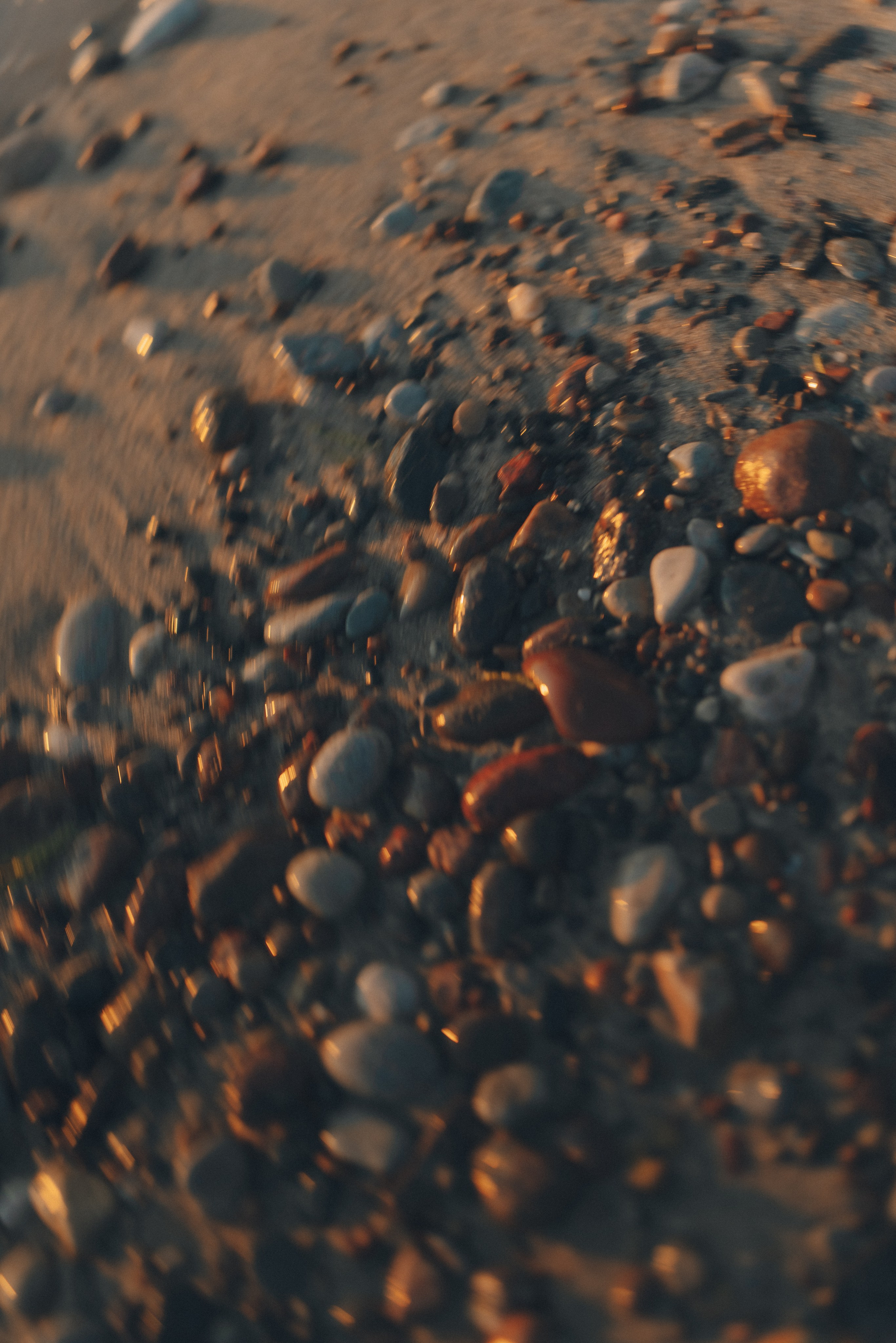 Море + ветер + чайки = Балтика. Фотограф Зеленоградск Красильникова Елена