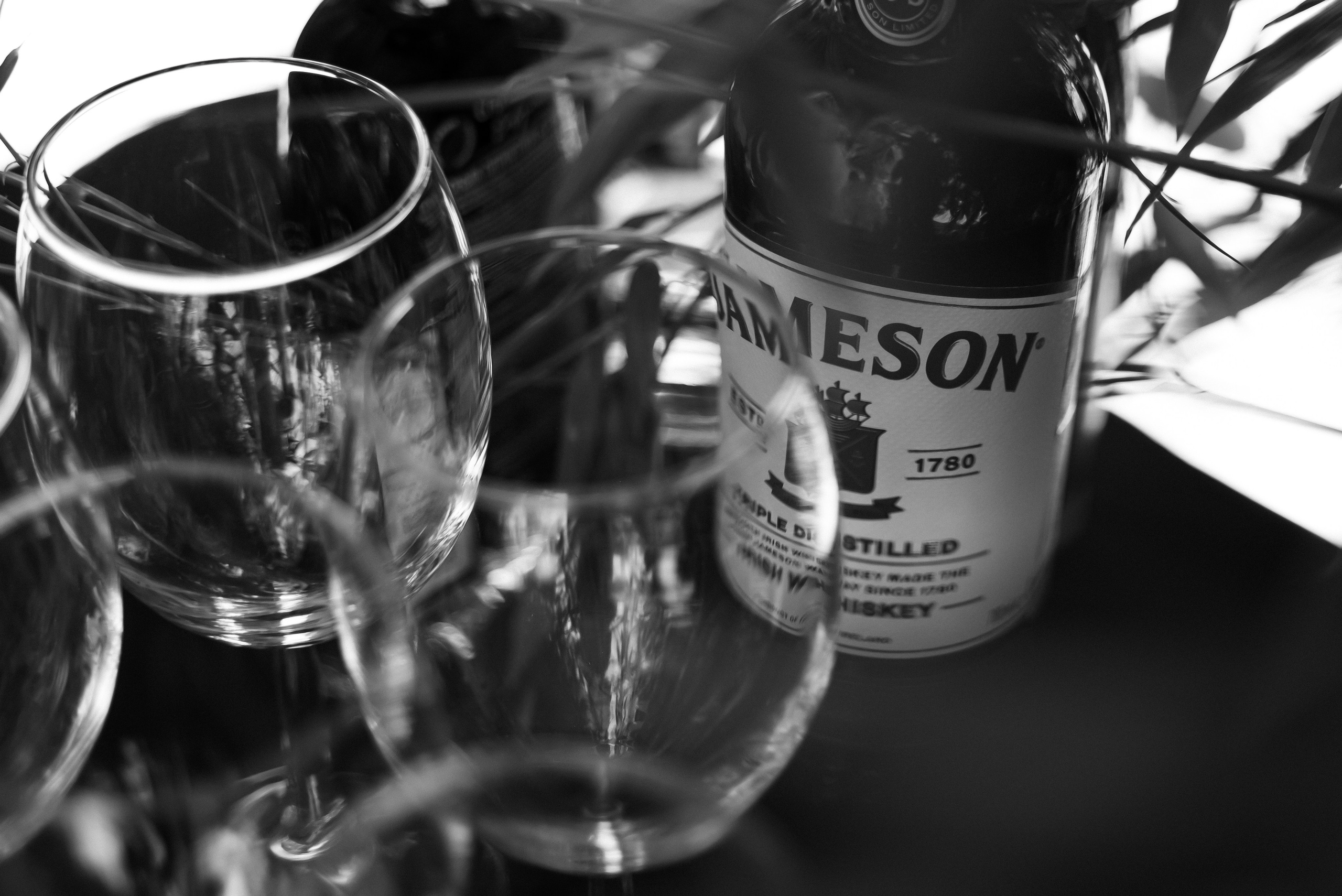 Корпоратив 5 лет компании. Фотограф в Краснодарском крае Александр Шульга