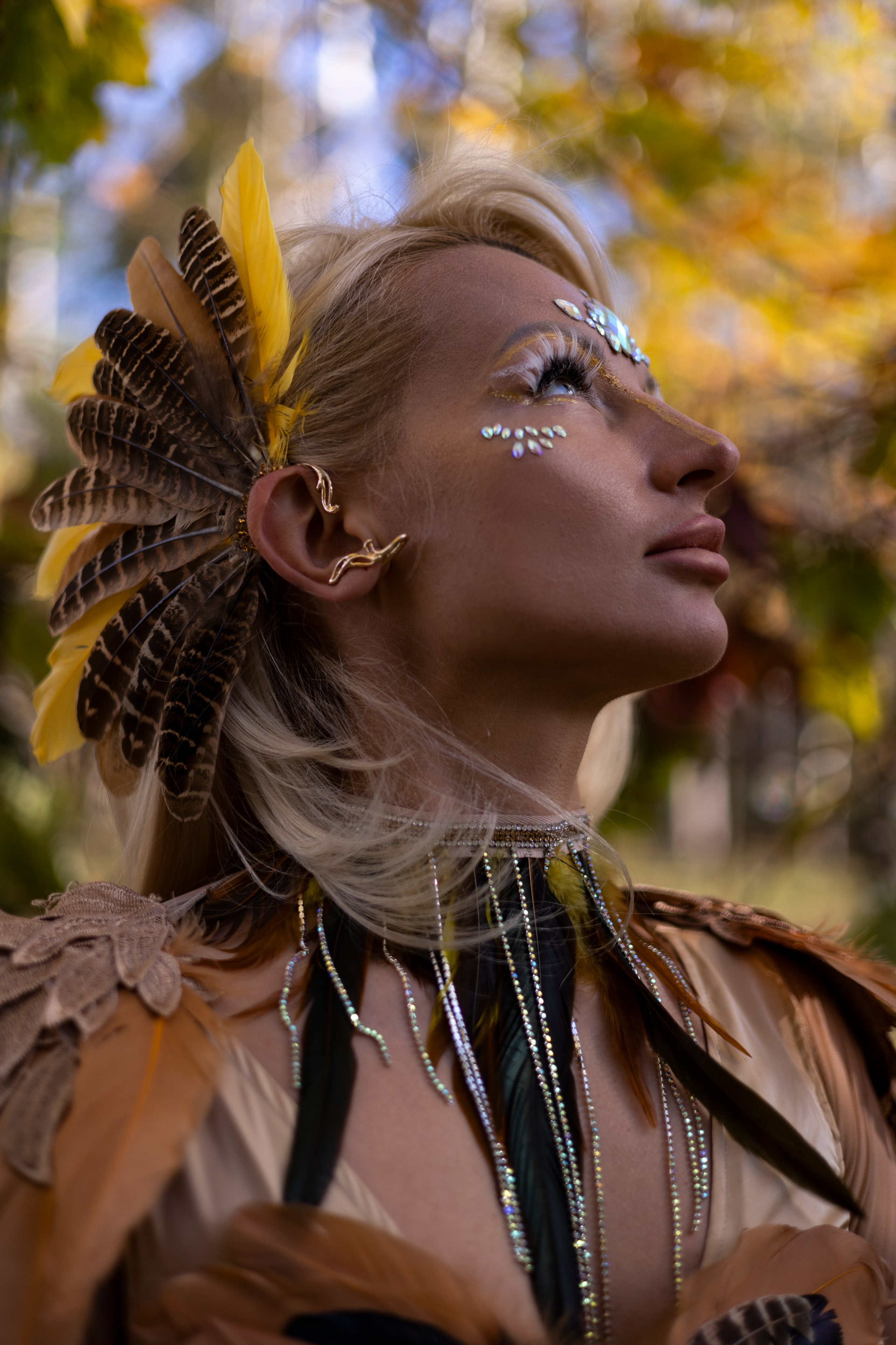 Жар птица. Сказочный фотограф для Вас и Вашей семьи