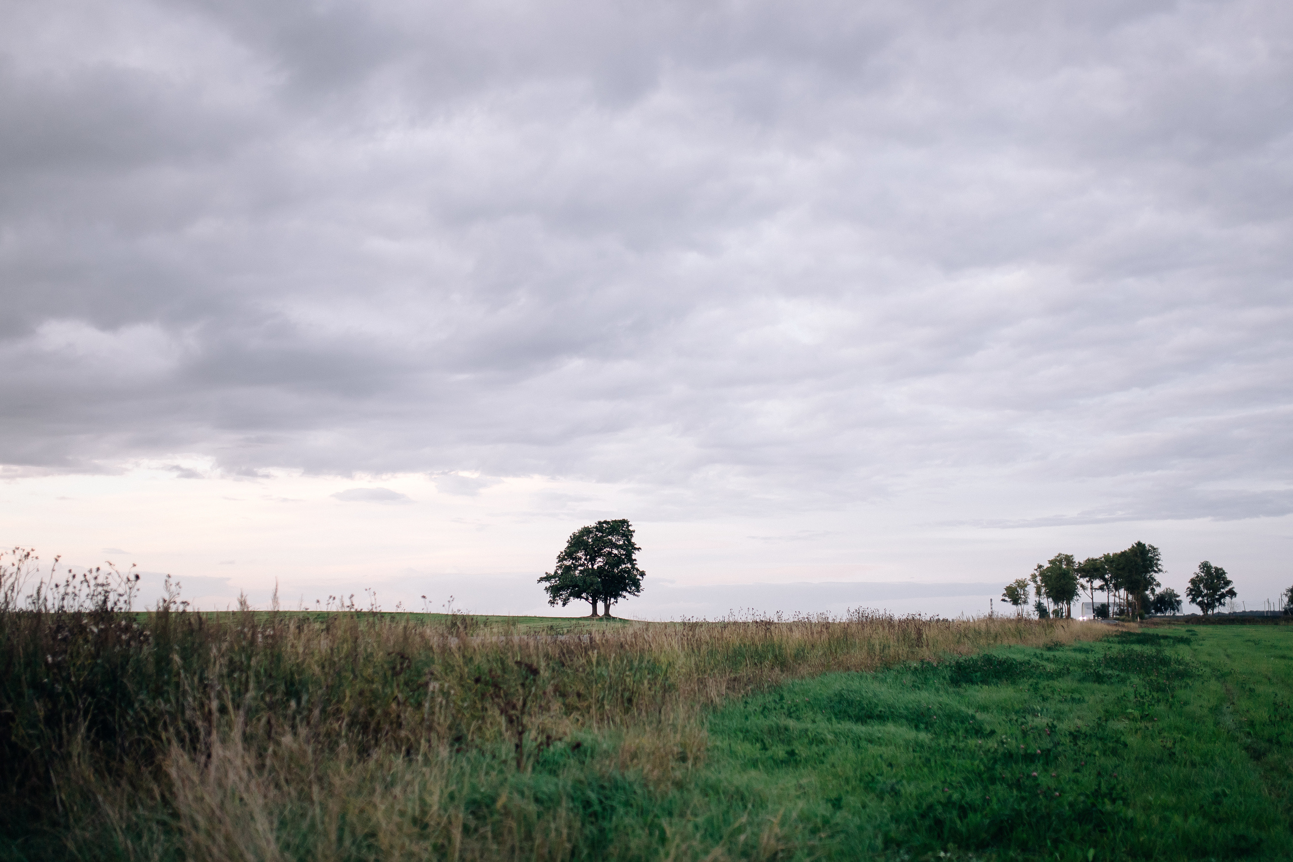 Love story | Ника и Слава. Фотограф в Санкт-Петербурге Милая Мила