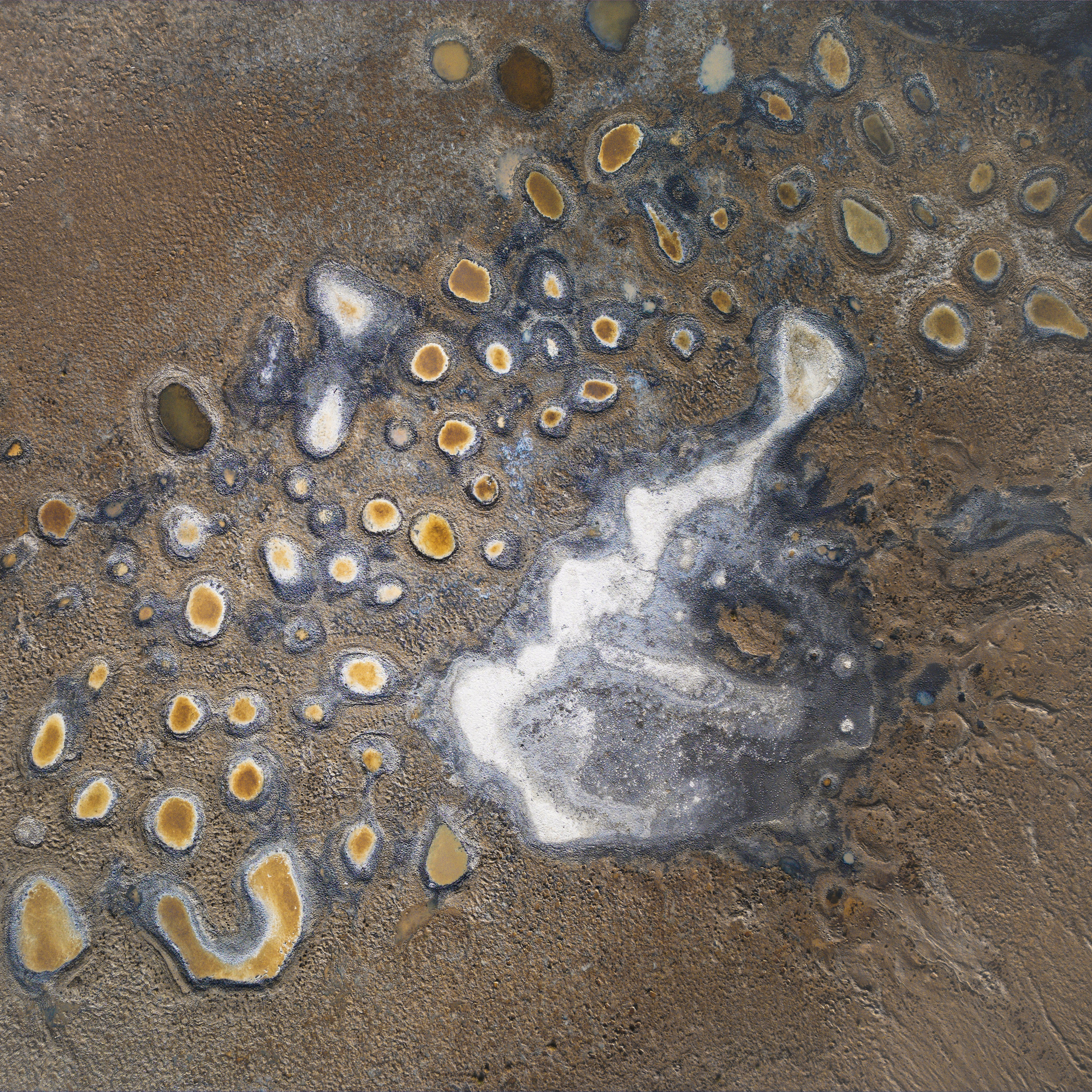 Экспедиция в Монголию (Гоби). Семоха Валерий. Фотограф