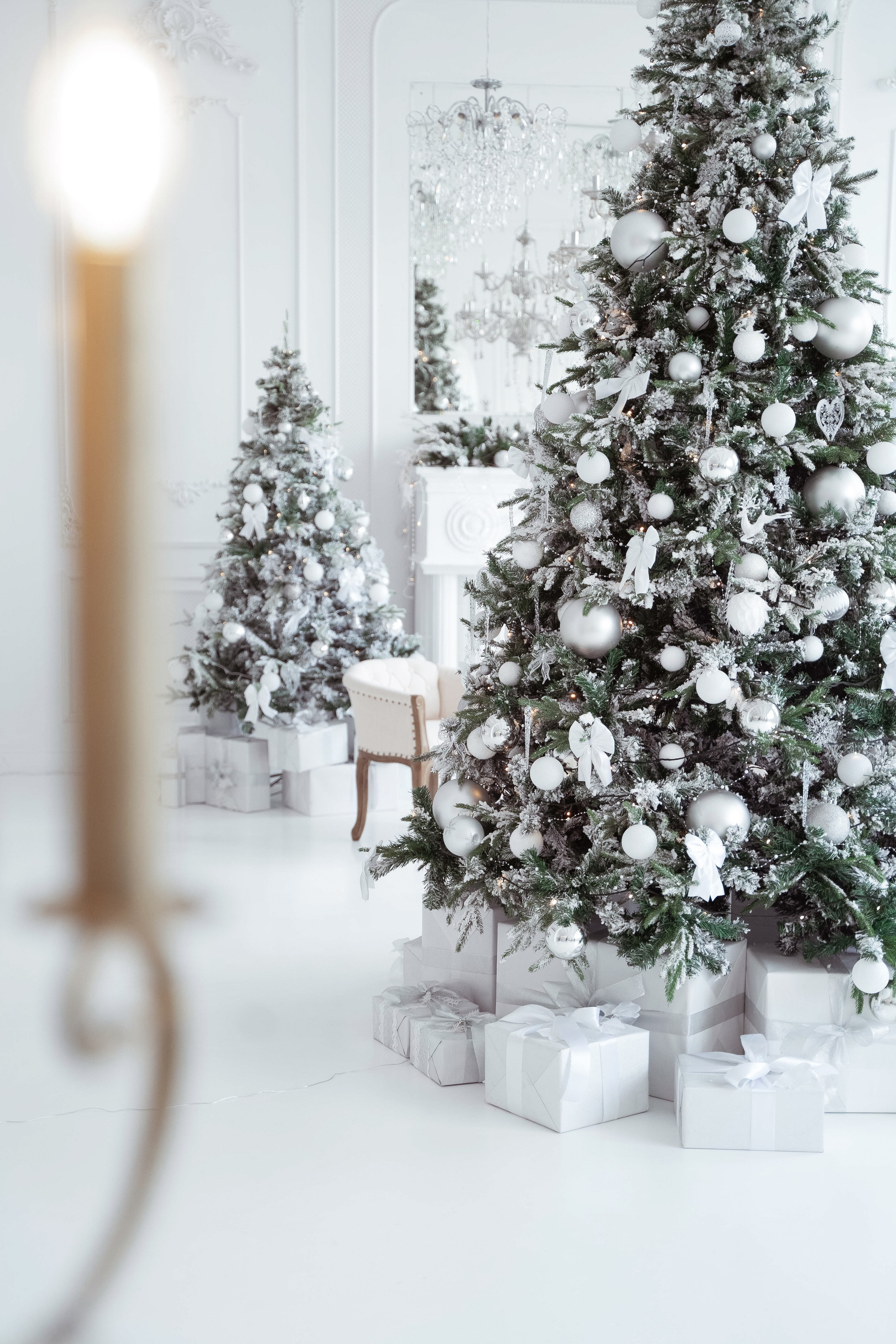 Зал Ренессанс. Фотограф г. Хабаровск. Семейные и индивидуальные съёмки