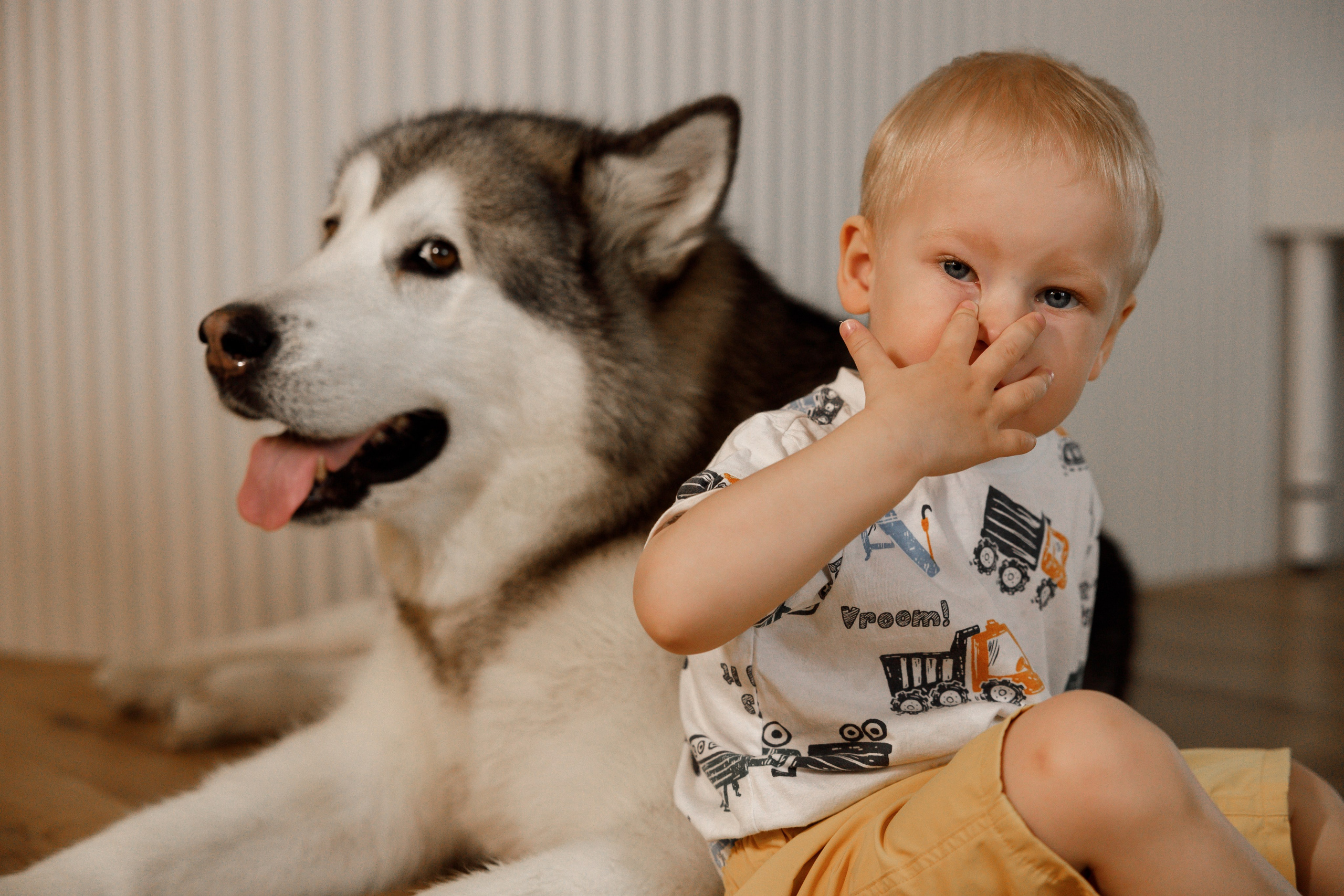 Лев 2 годика. Свадебный и семейный фотограф  во Владивостоке Ольга Украинец