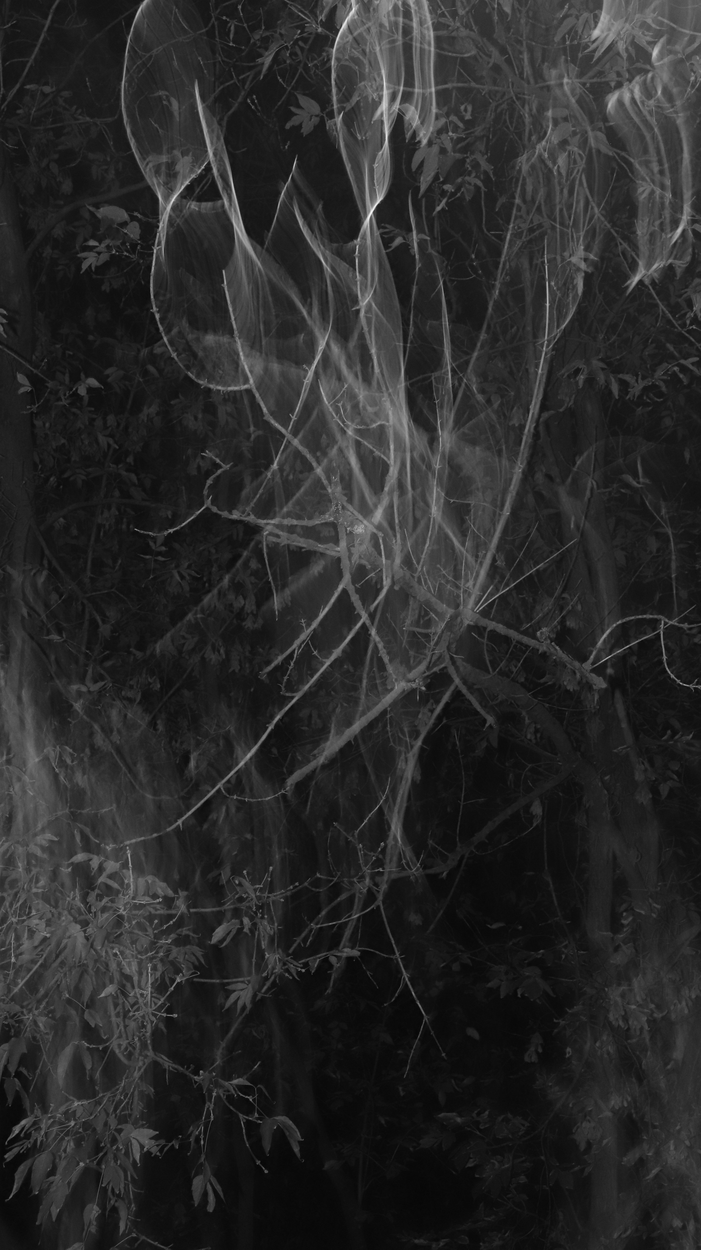 Street. Joseph Anton