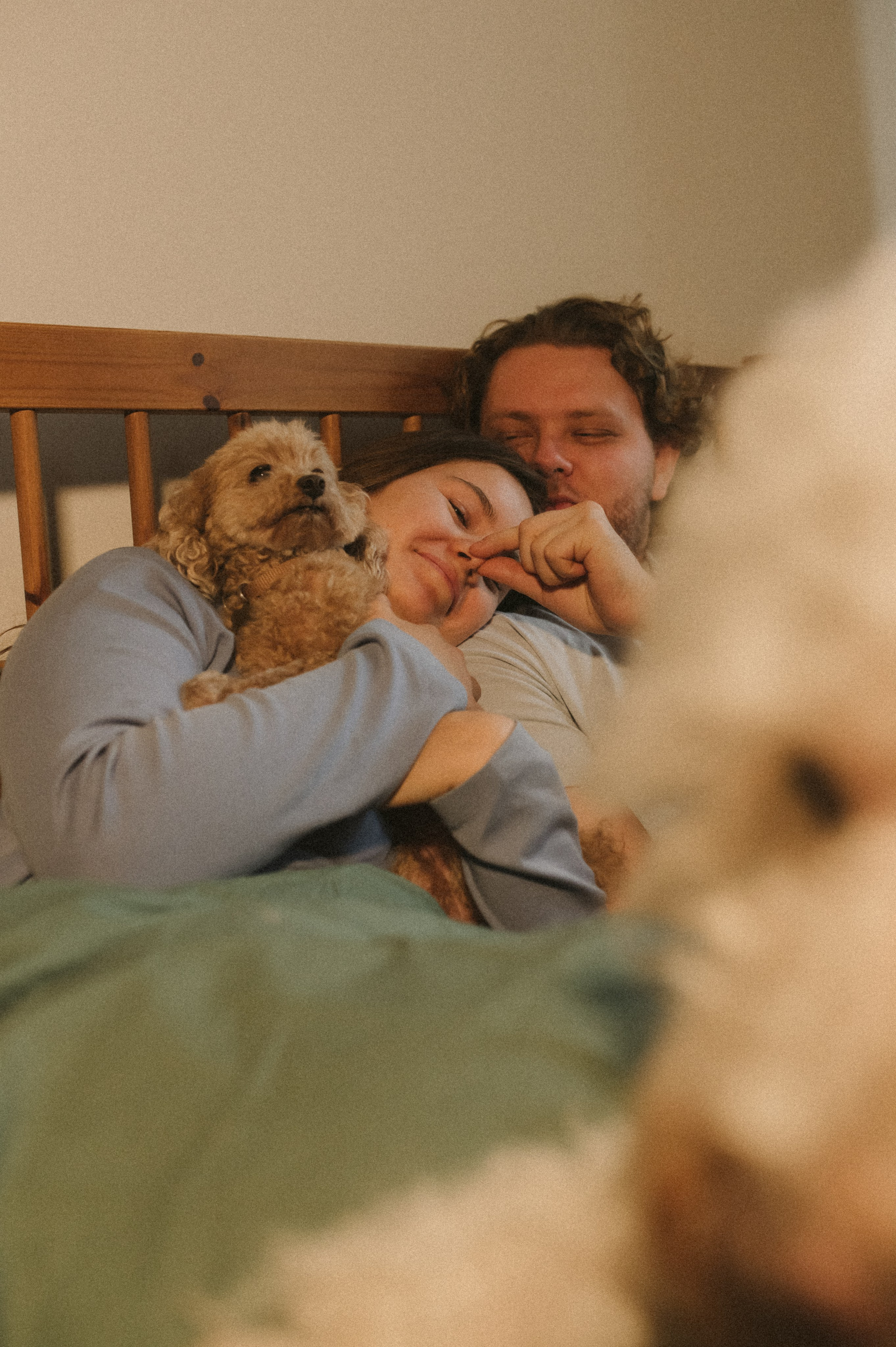 Ання и её кудрявая команда. Фотограф анималист в Москве Ольга Агушева