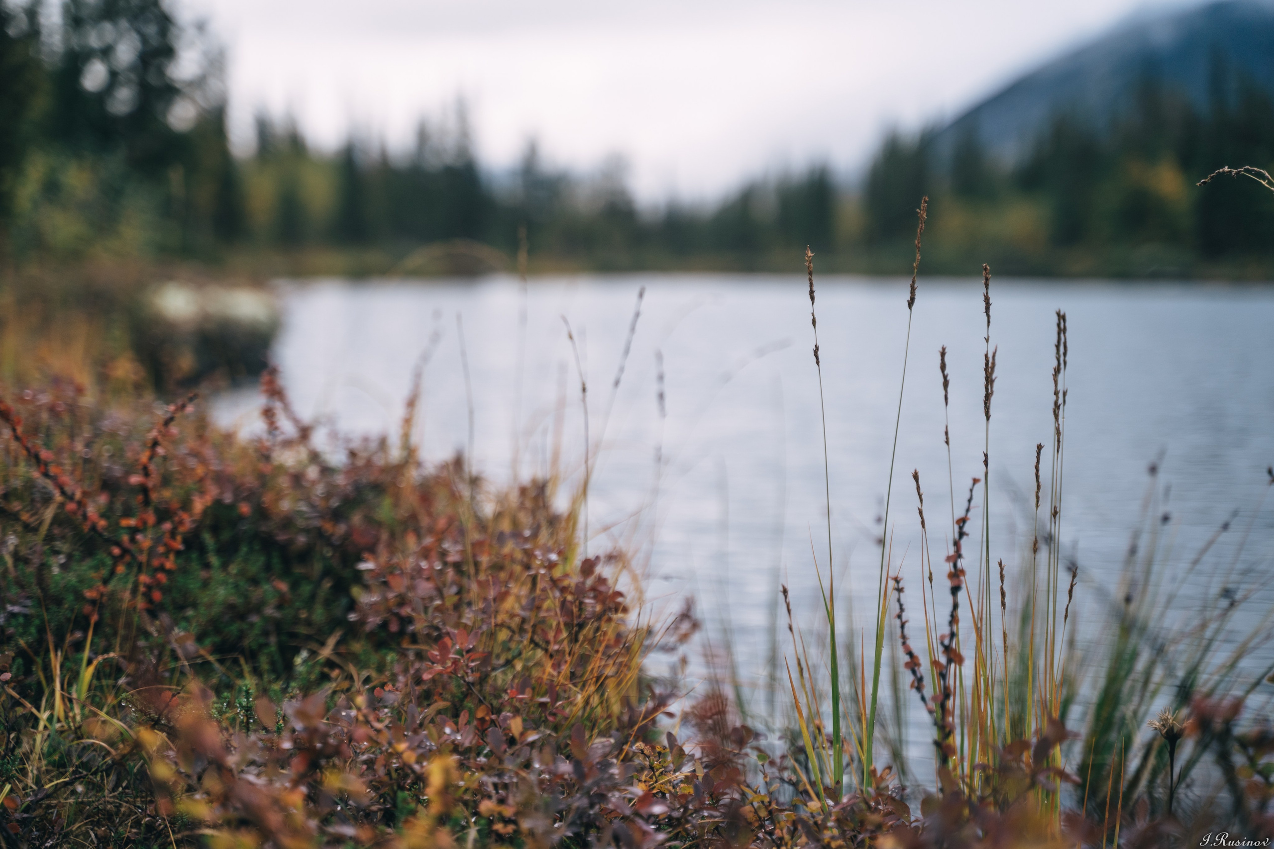 ХИБИНЫ 2021 г. Event фотограф Степанова Александра