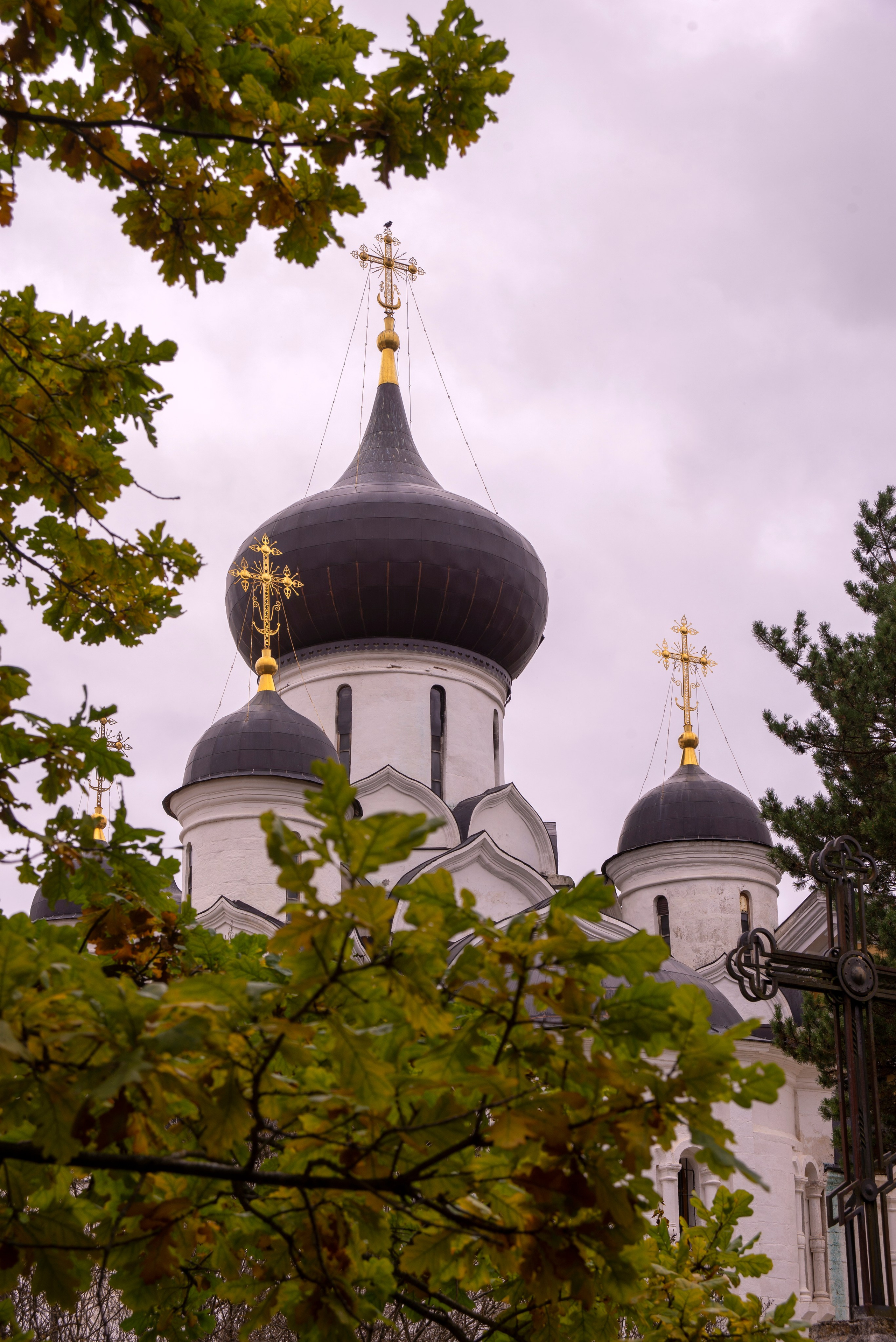 Старица. 25 сентября 2025 (Nikon). Игорь Жучков. Россия увиденная глазами путешествующего фотографа