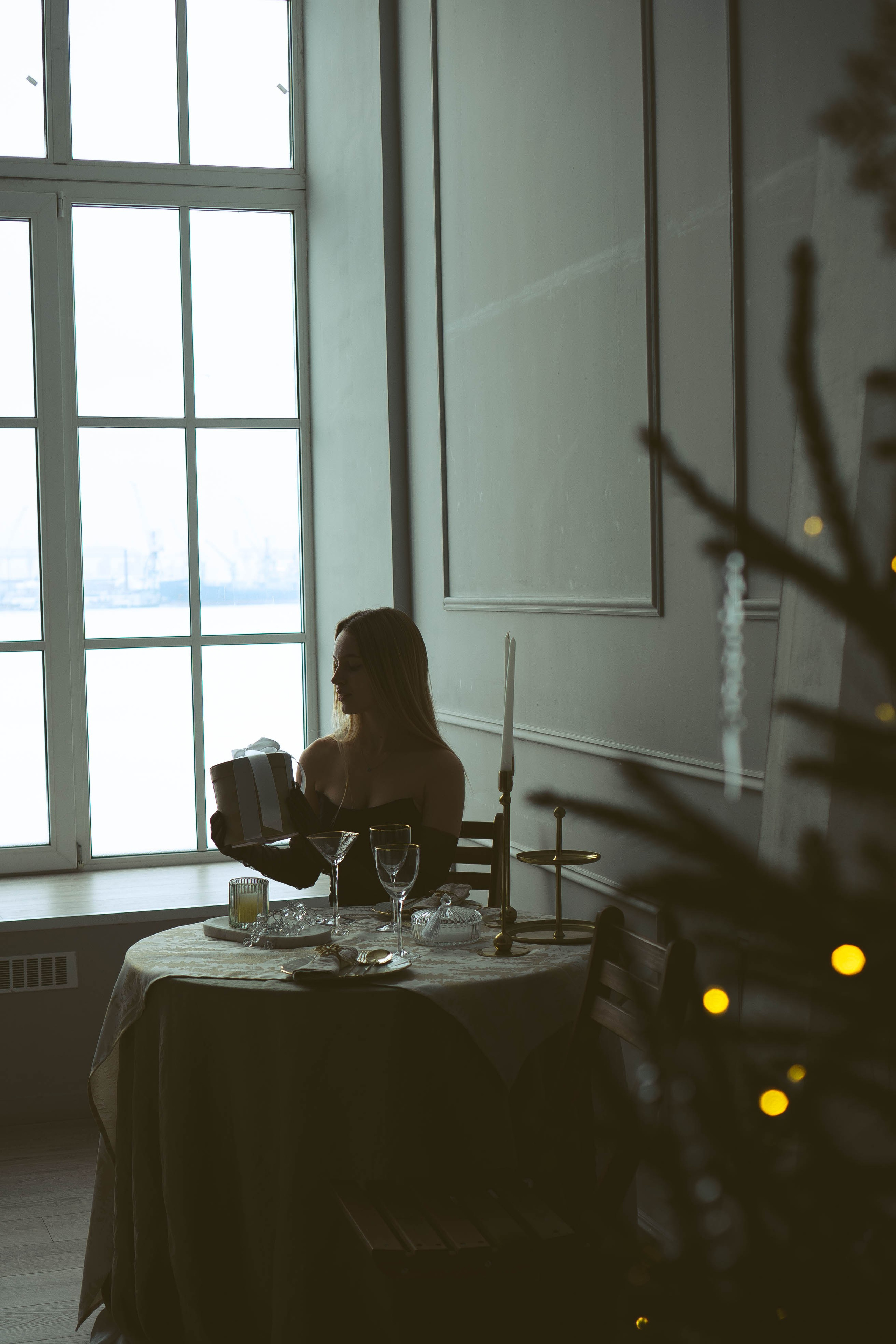 Новогодняя. Профессиональный фотограф, Санкт-Петербург — Виктория Богомолова