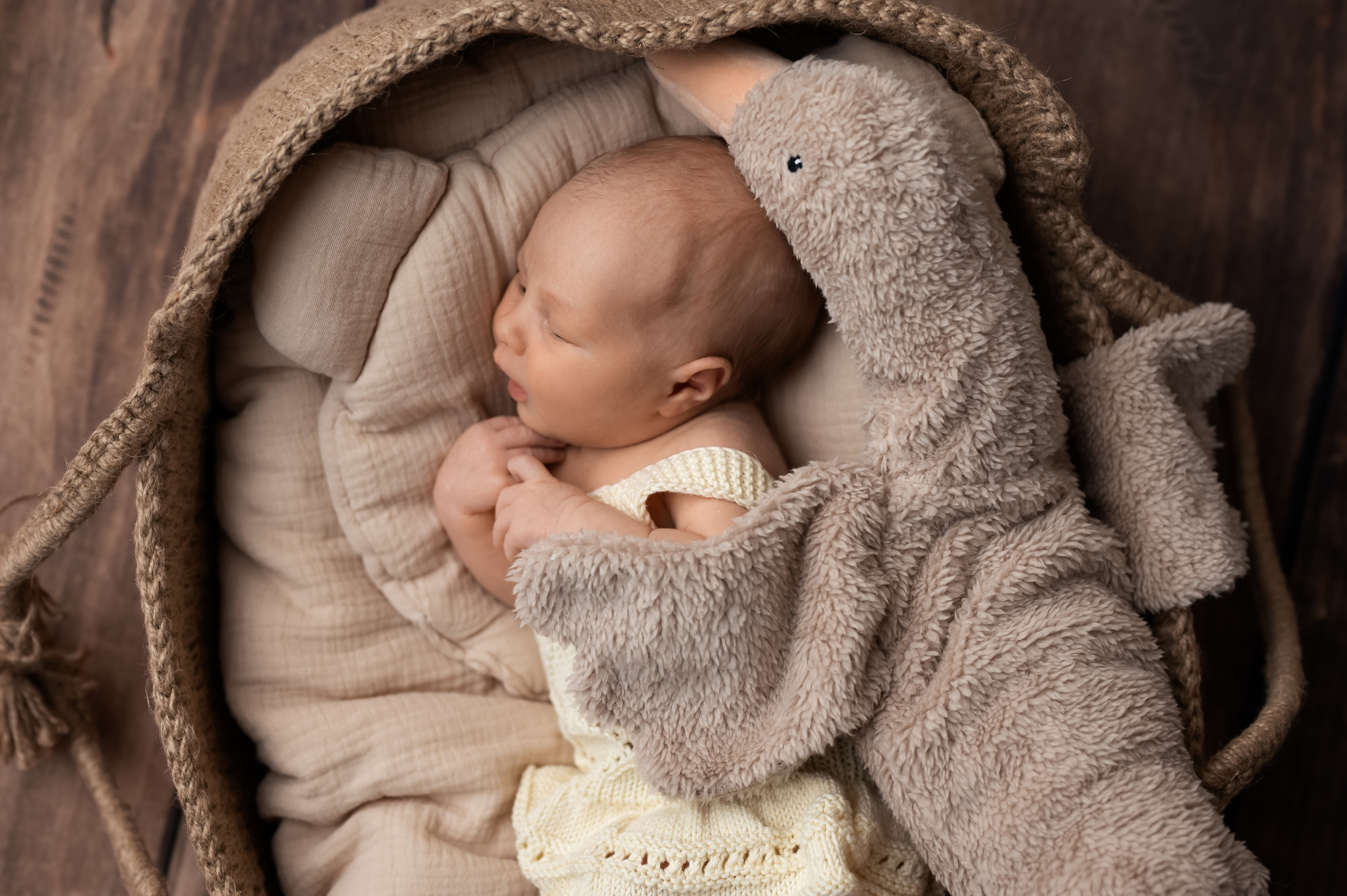 Новорождённые. Фотограф новорождённых Ольга Ушакова Москва