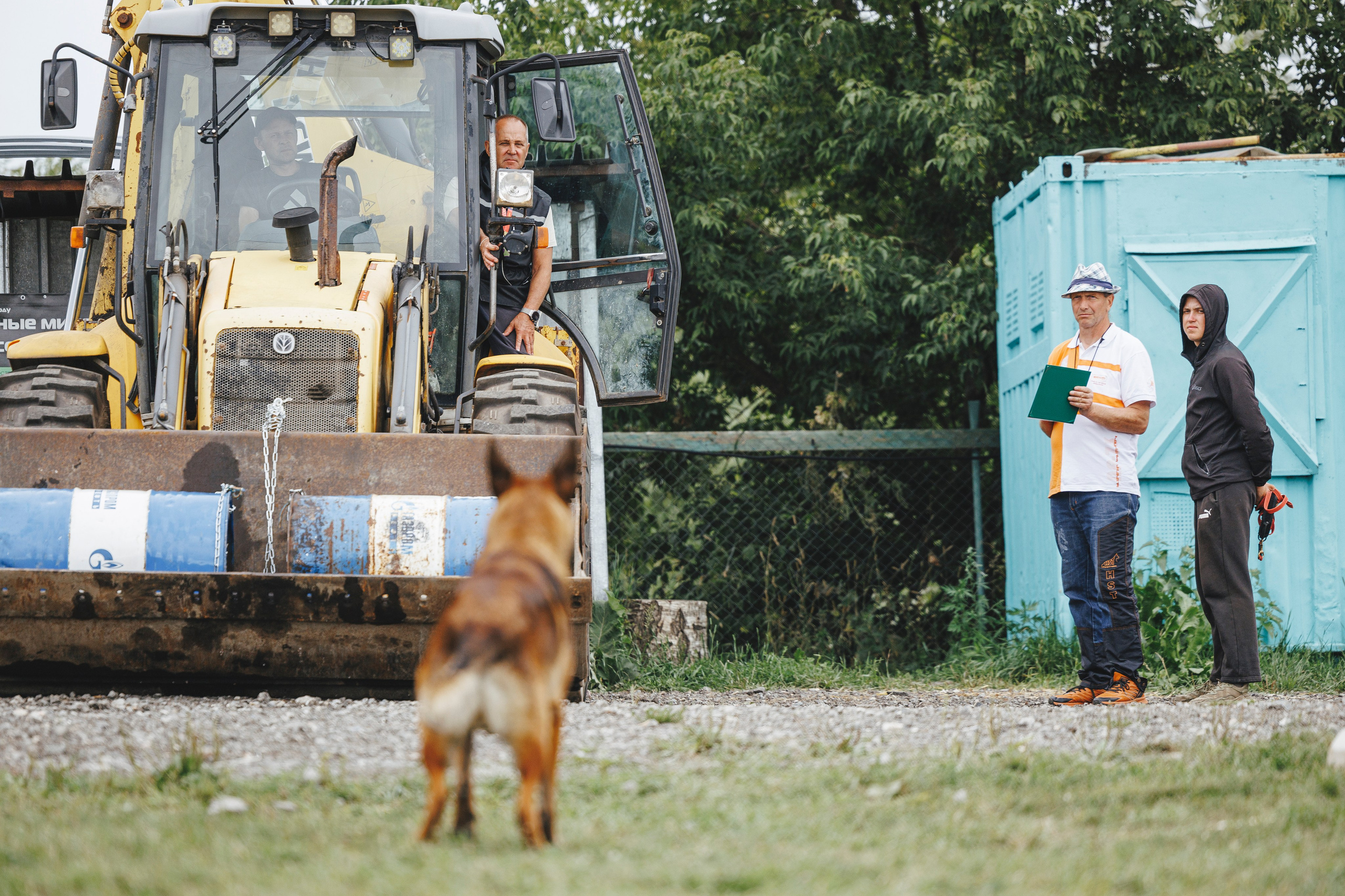 08.08.25-10.08.25 ЧР по мондьорингу г. Вологда. Фотограф-анималист Анна Маринич