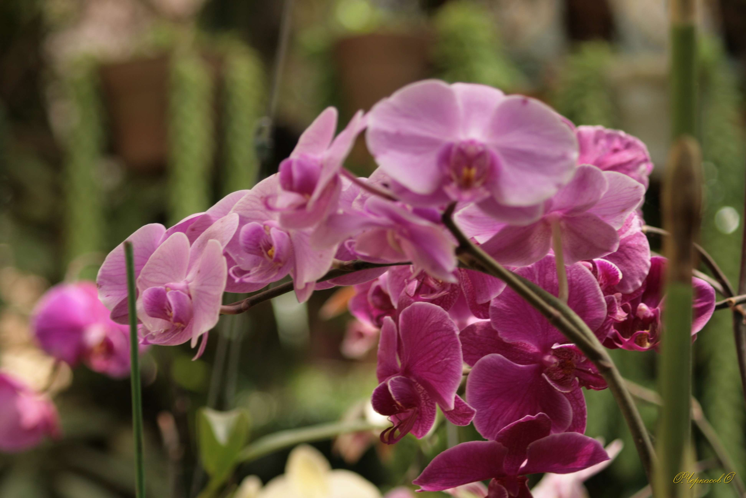 Вьетнам 2008 г. Улица, люди, жизнь…